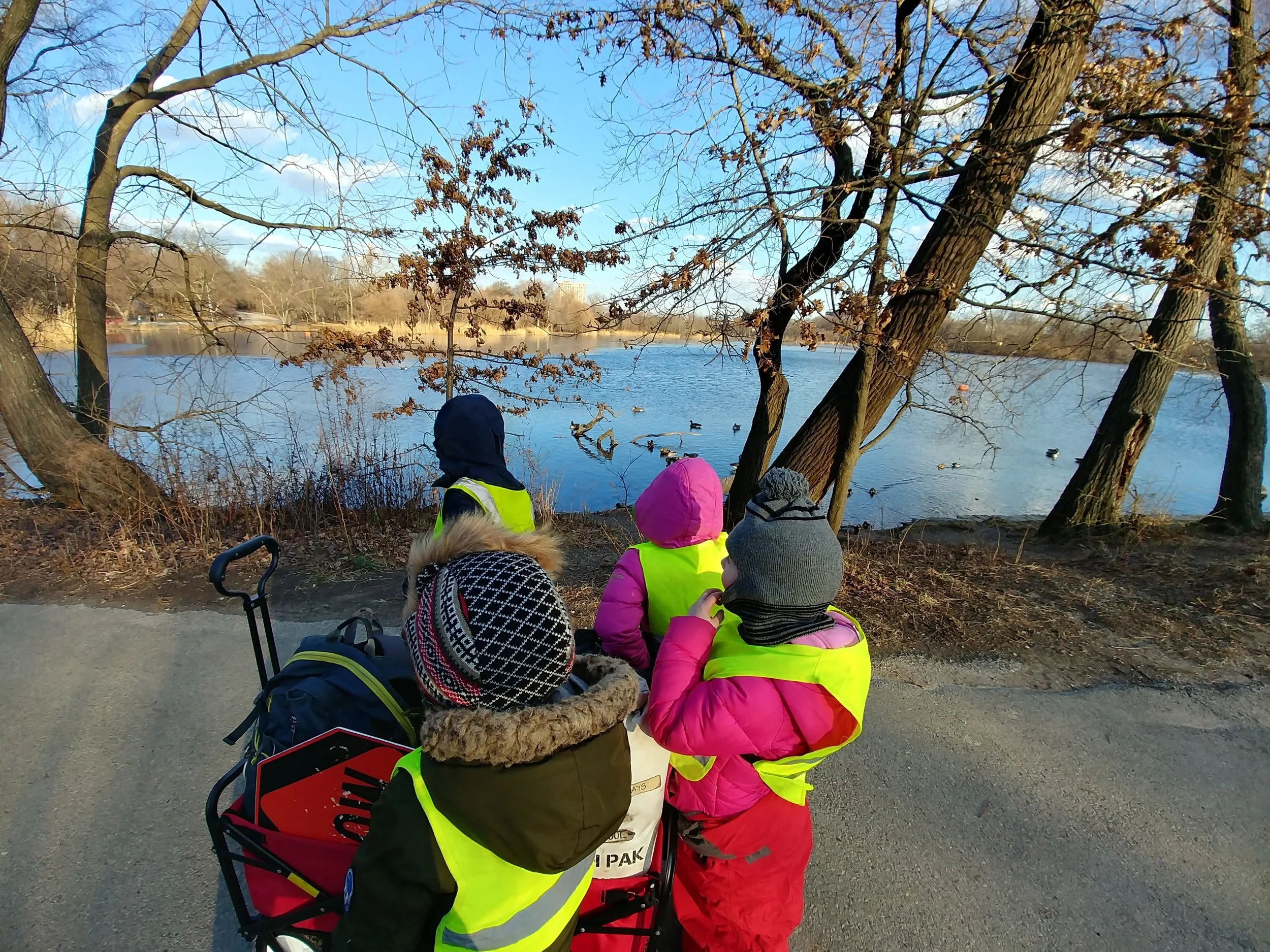 20190125_154252_HDR.jpg