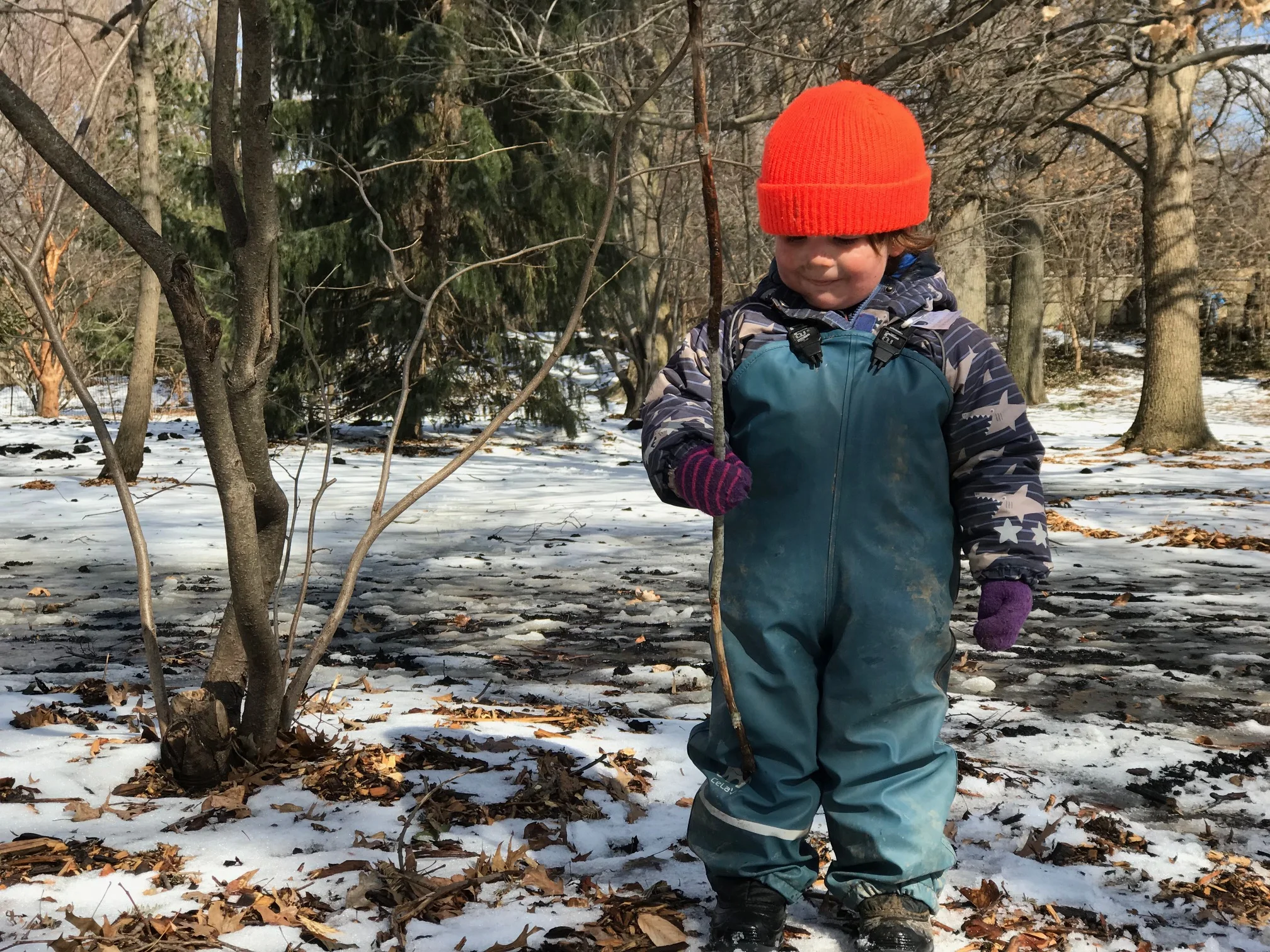 IMG_5071.jpg