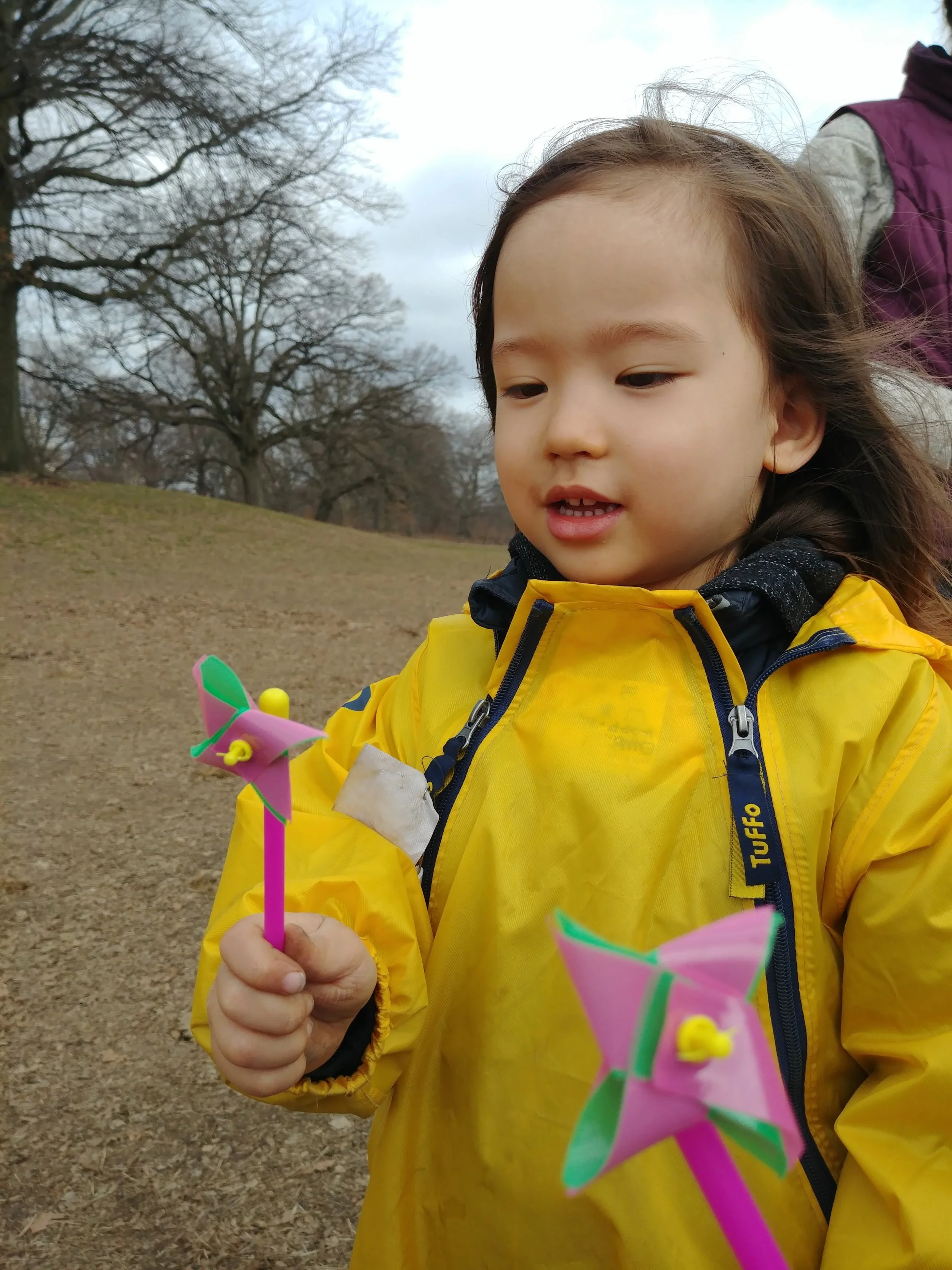 20190315_111713.jpg