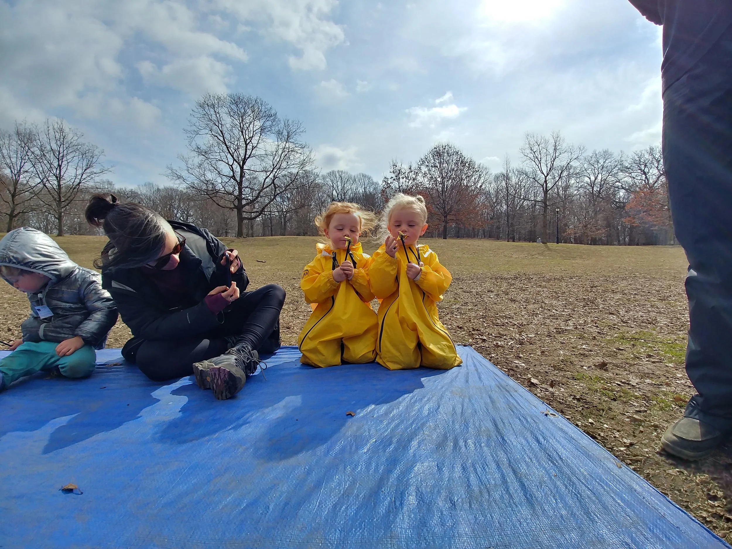 20190315_111608_HDR.jpg