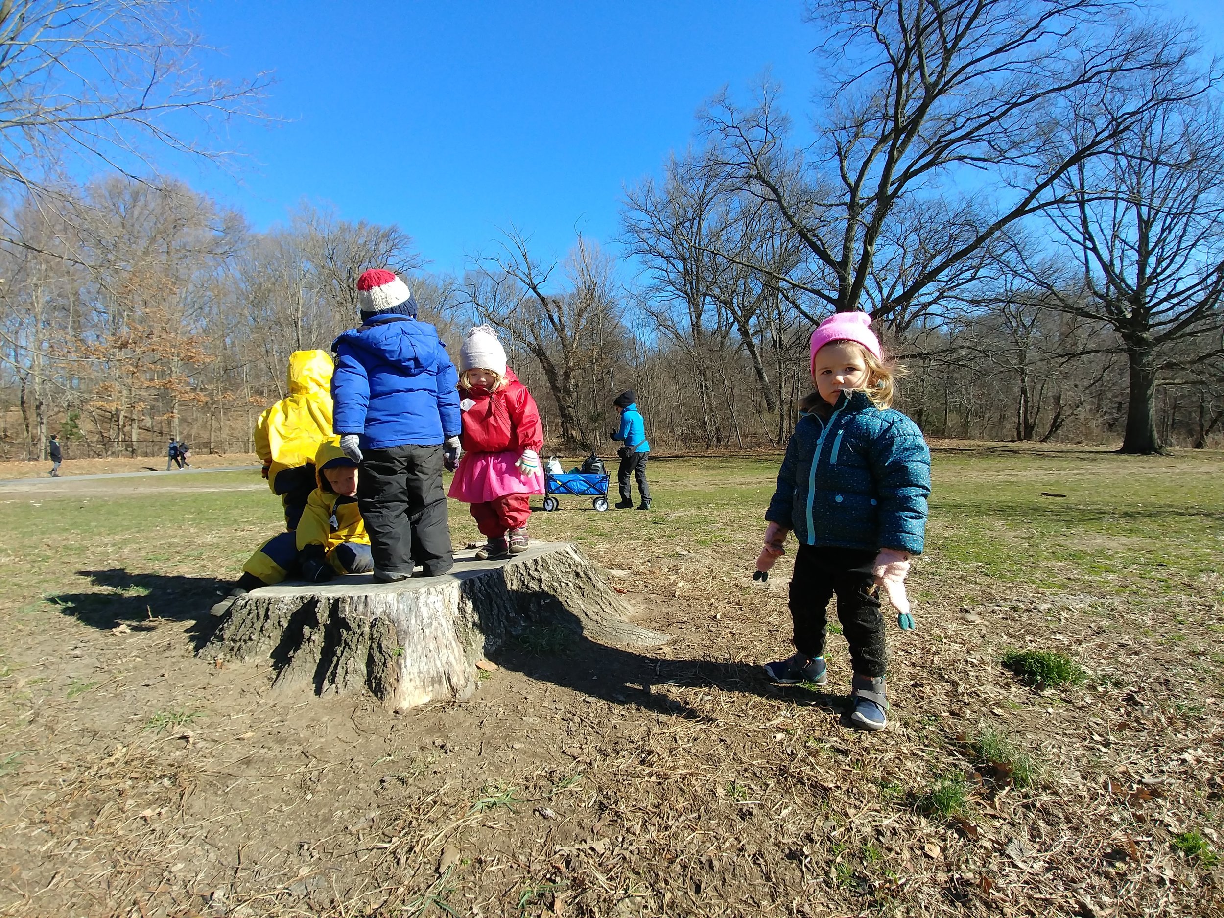 20190326_094235.jpg