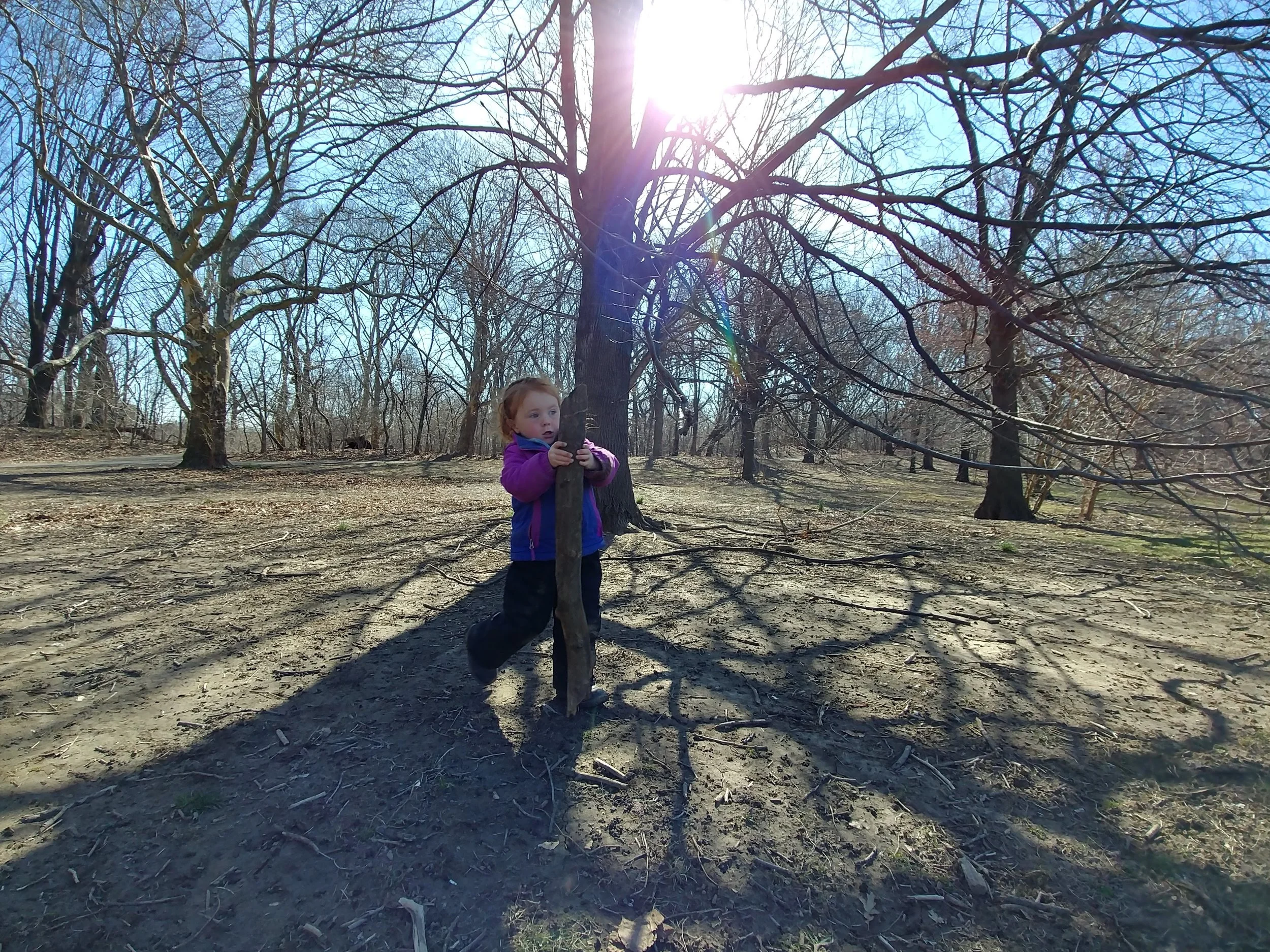 20190327_101432_HDR.jpg