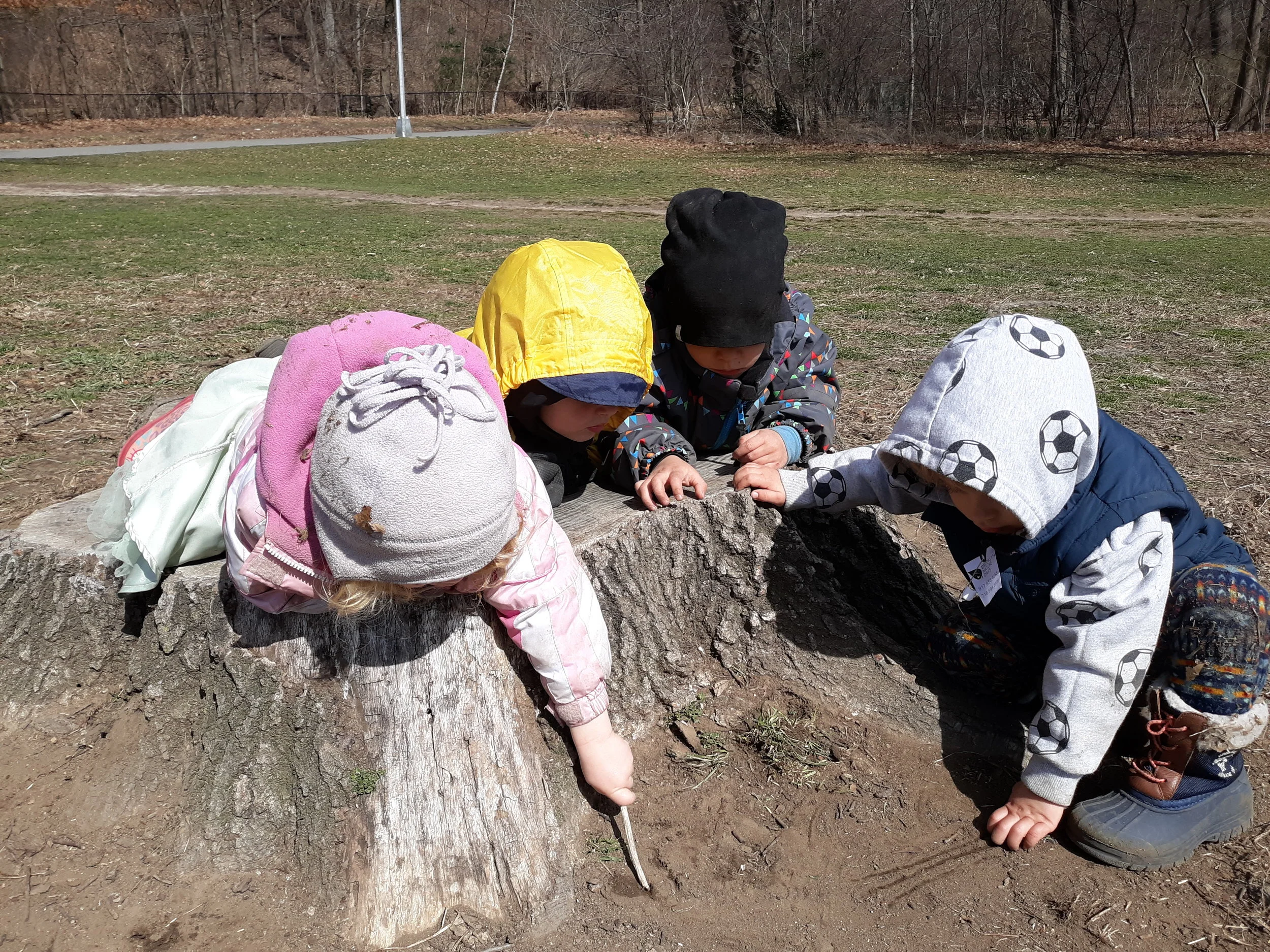 20190328_113108.jpg