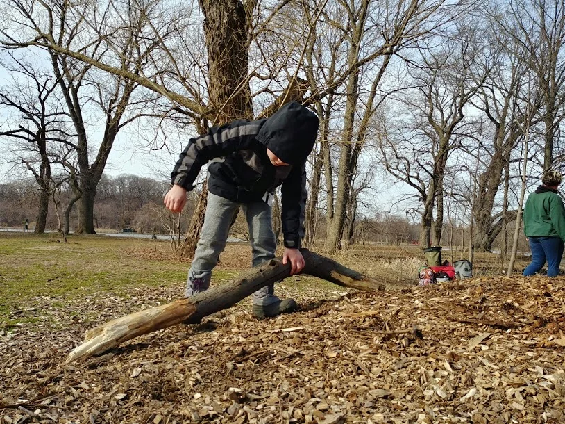20190327_161504_HDR.jpg