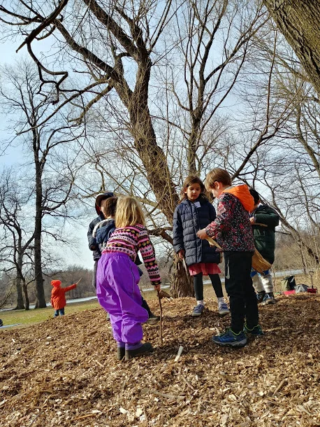 20190327_161450_HDR.jpg