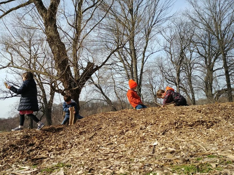 20190327_155158.jpg