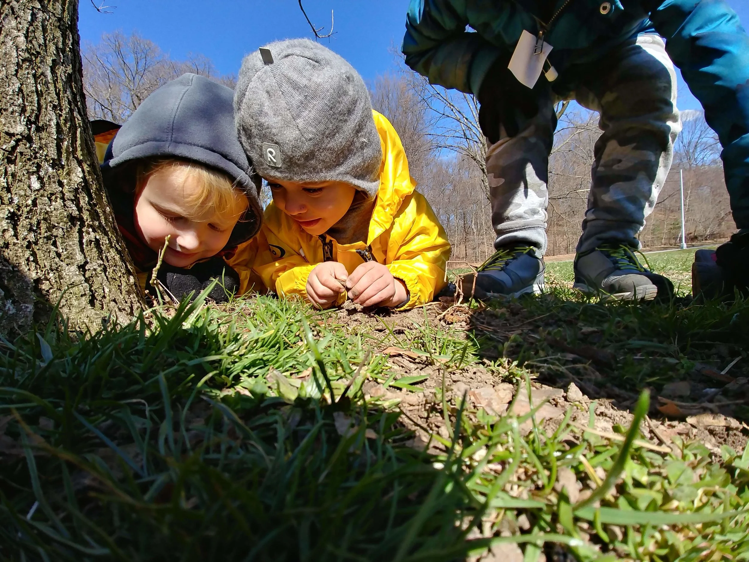 20190402_101800_HDR.jpg