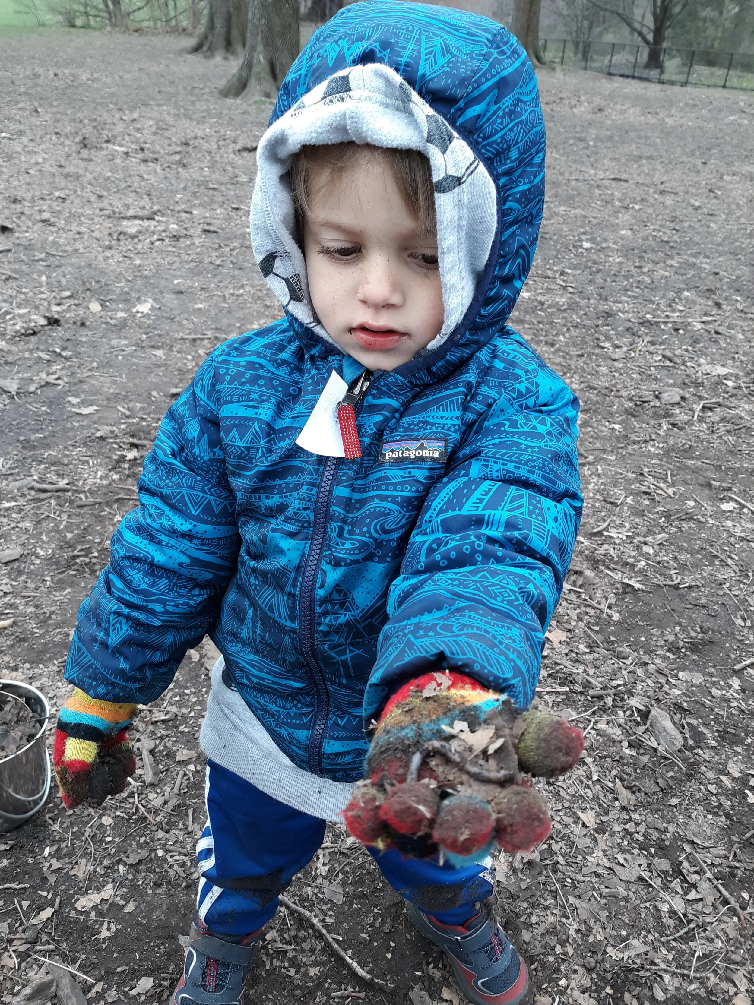 20190411_100020.jpg