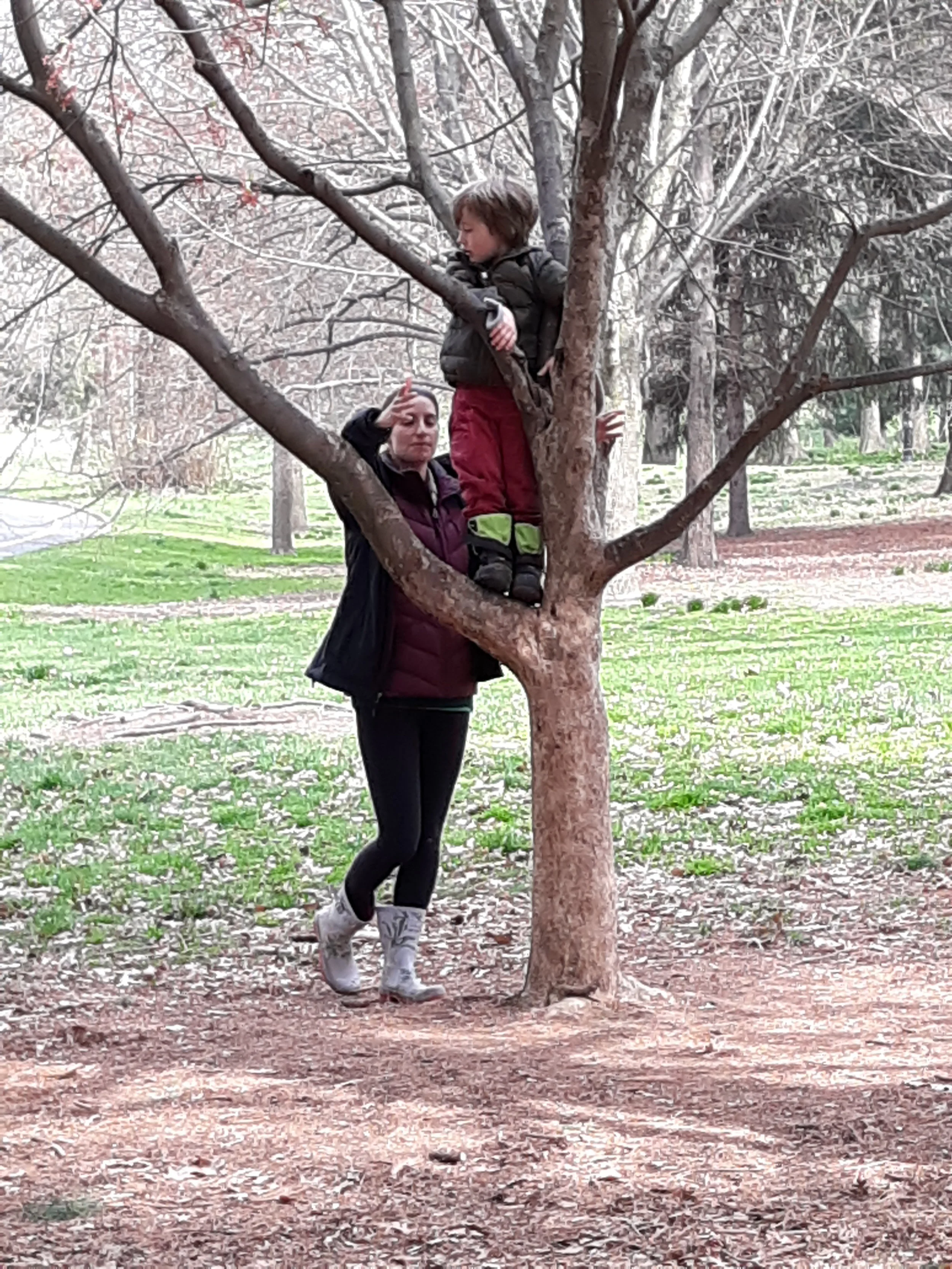 20190418_161132.jpg