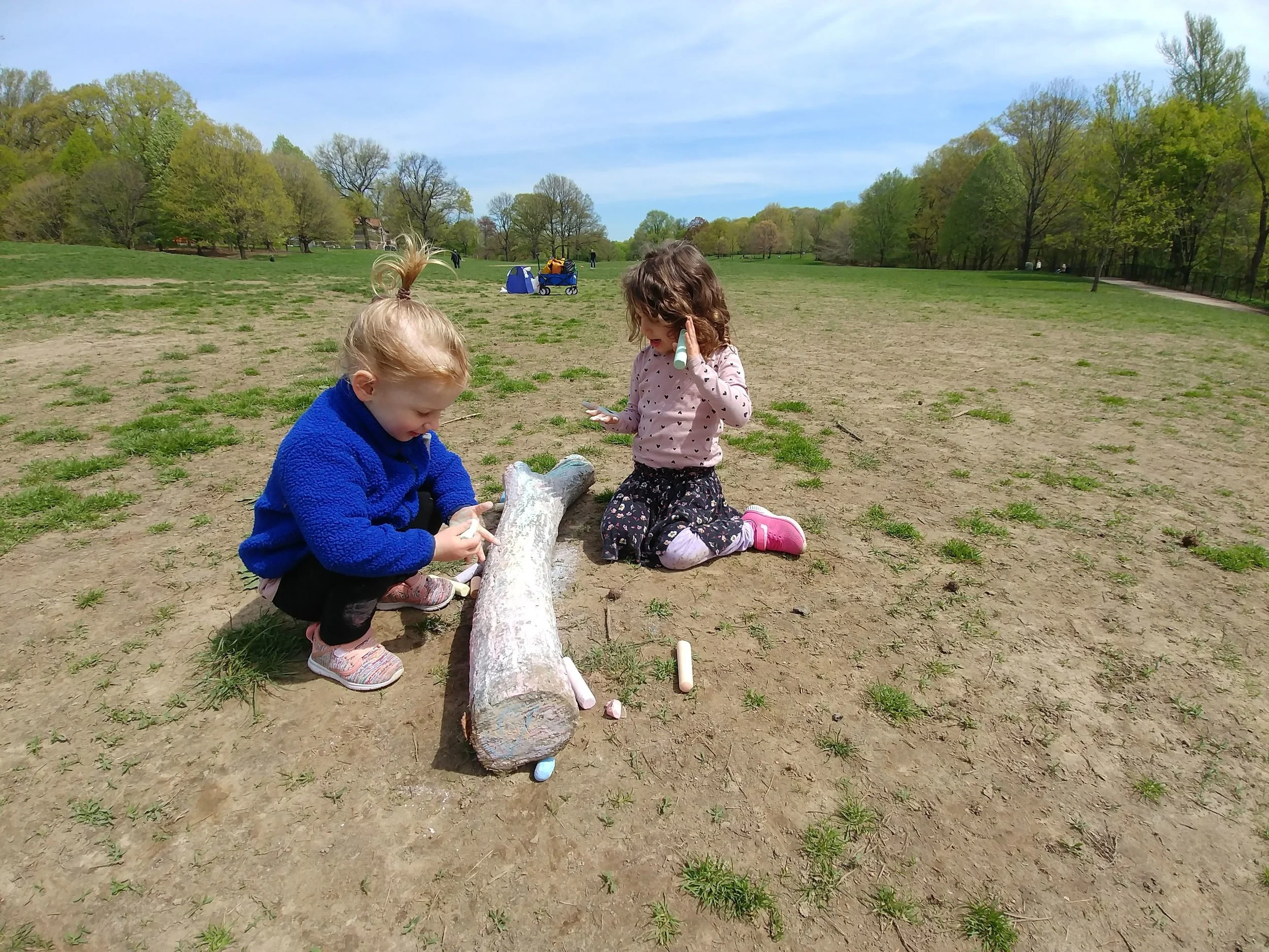 20190425_112316.jpg