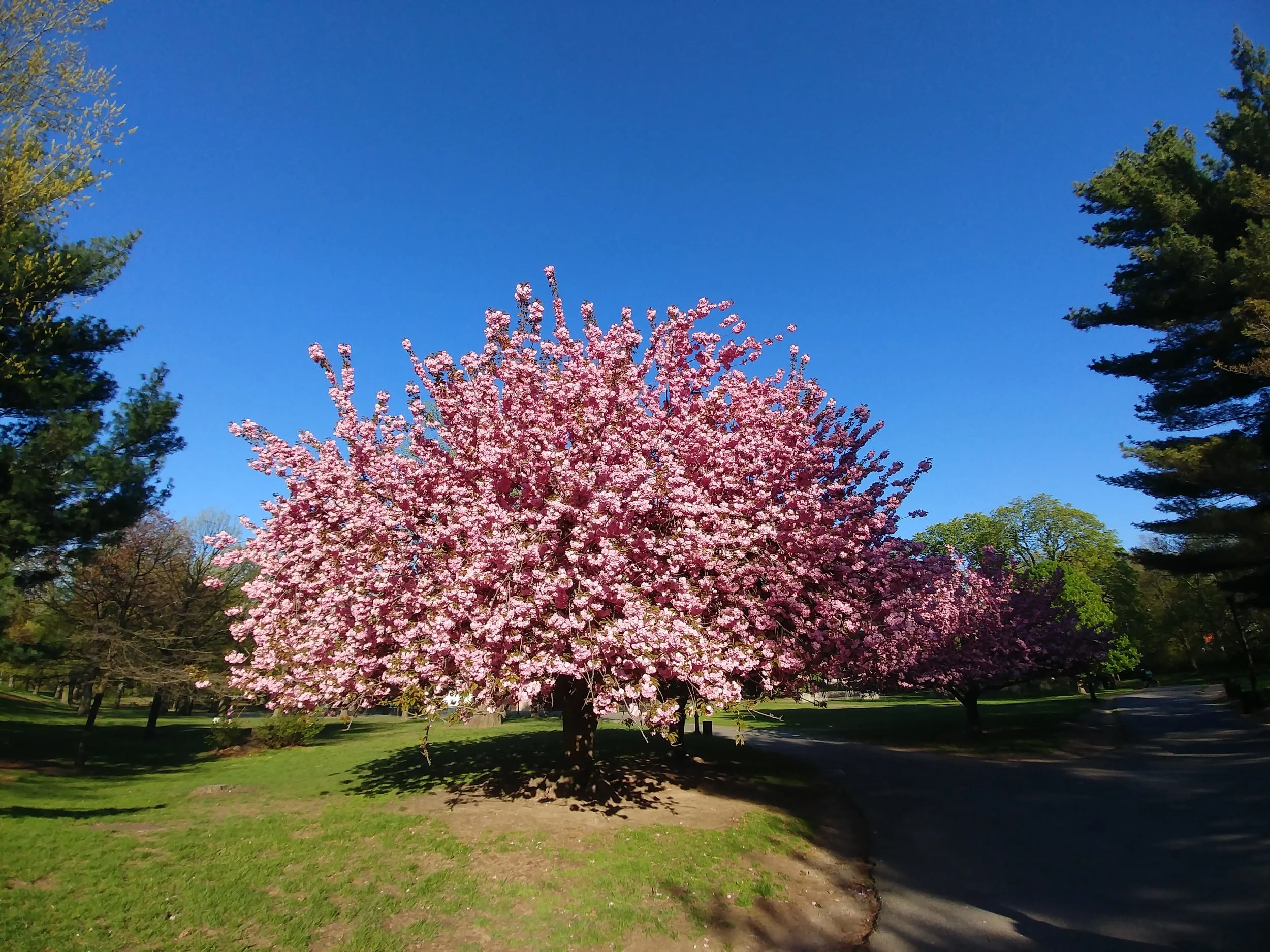 20190425_075724.jpg