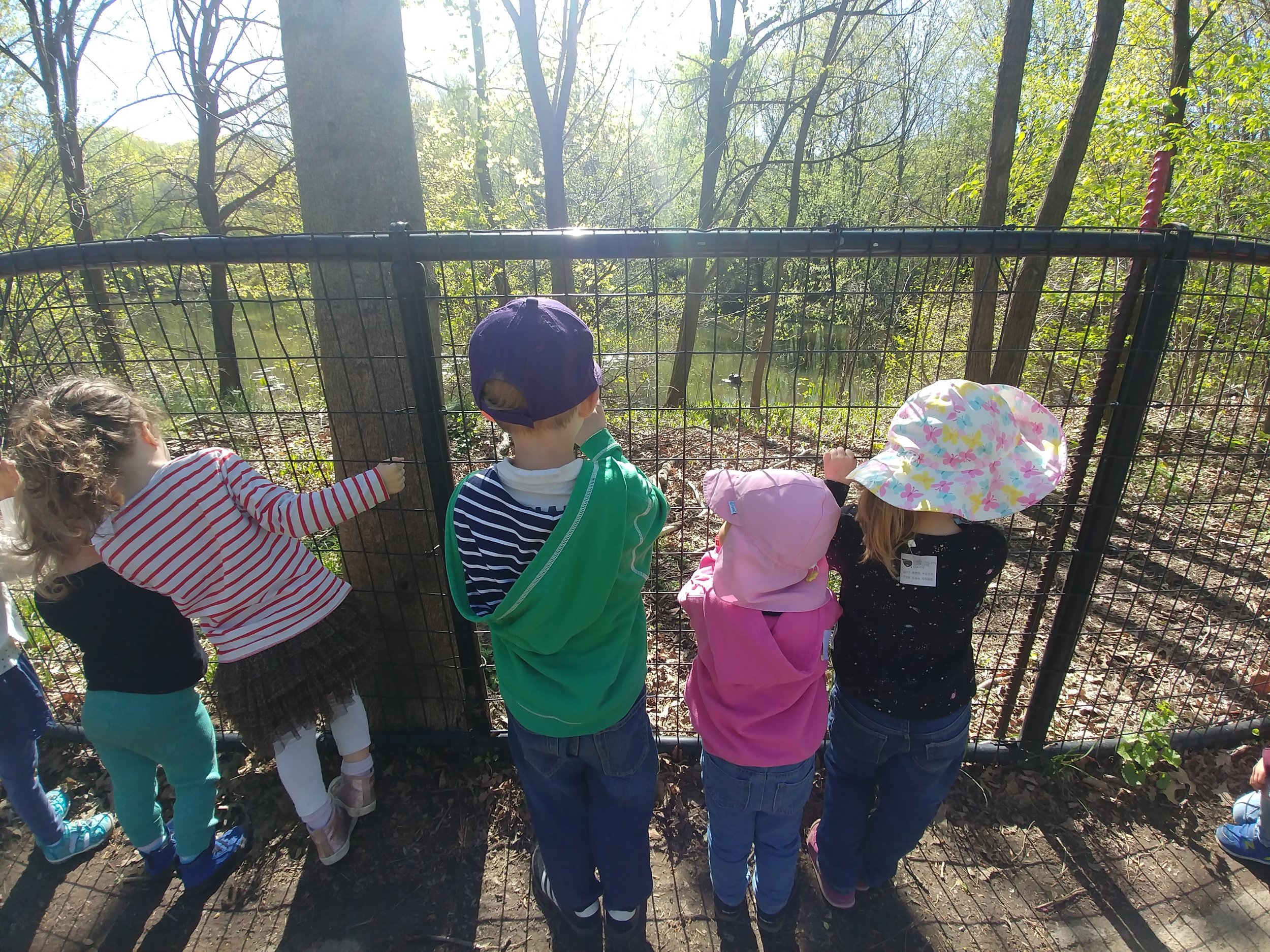 20190424_093238.jpg