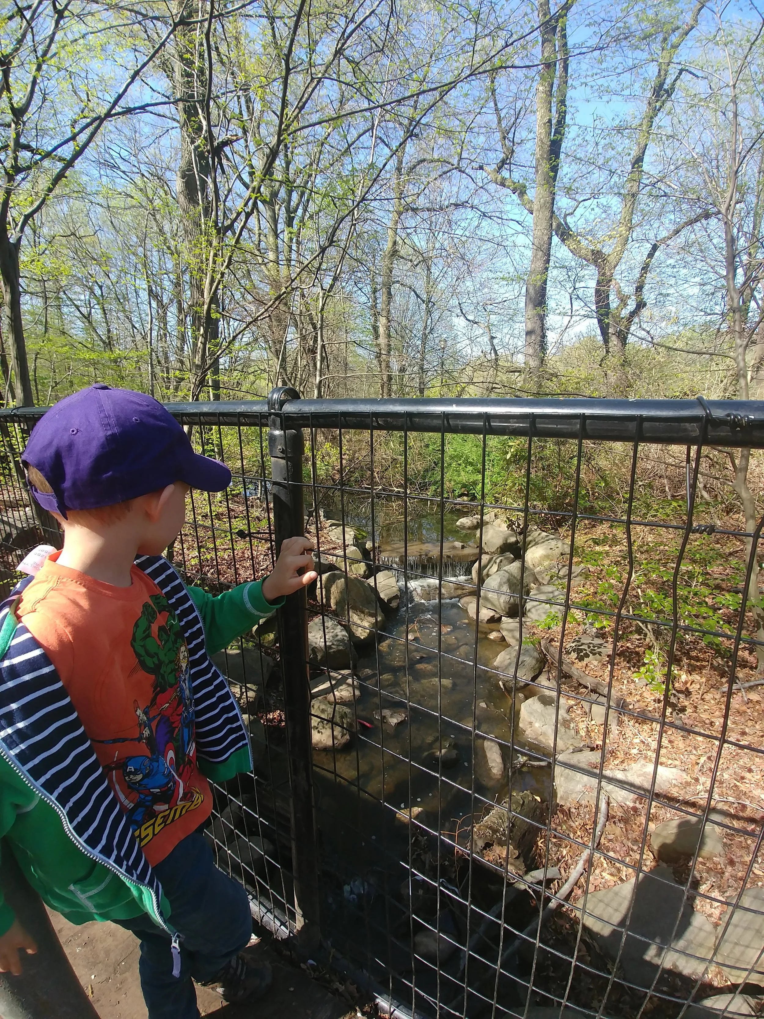 20190423_095550.jpg