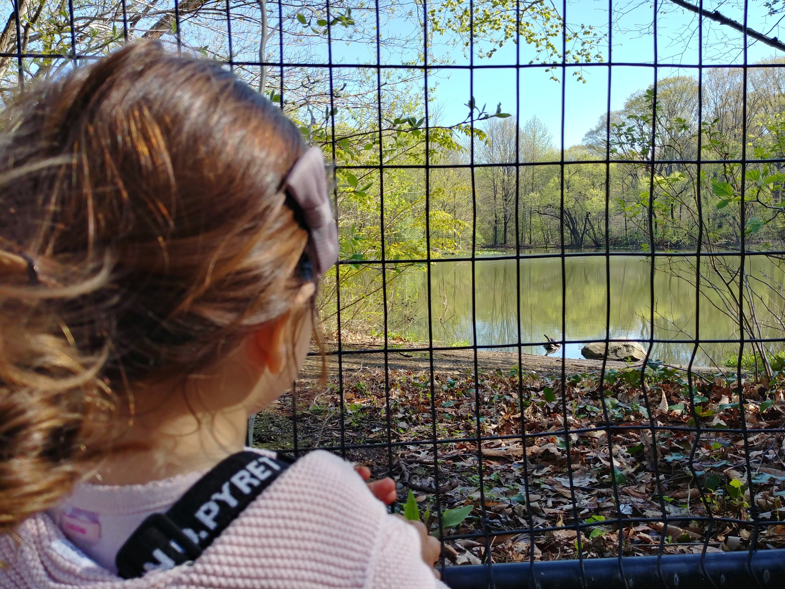 20190423_092810_HDR.jpg