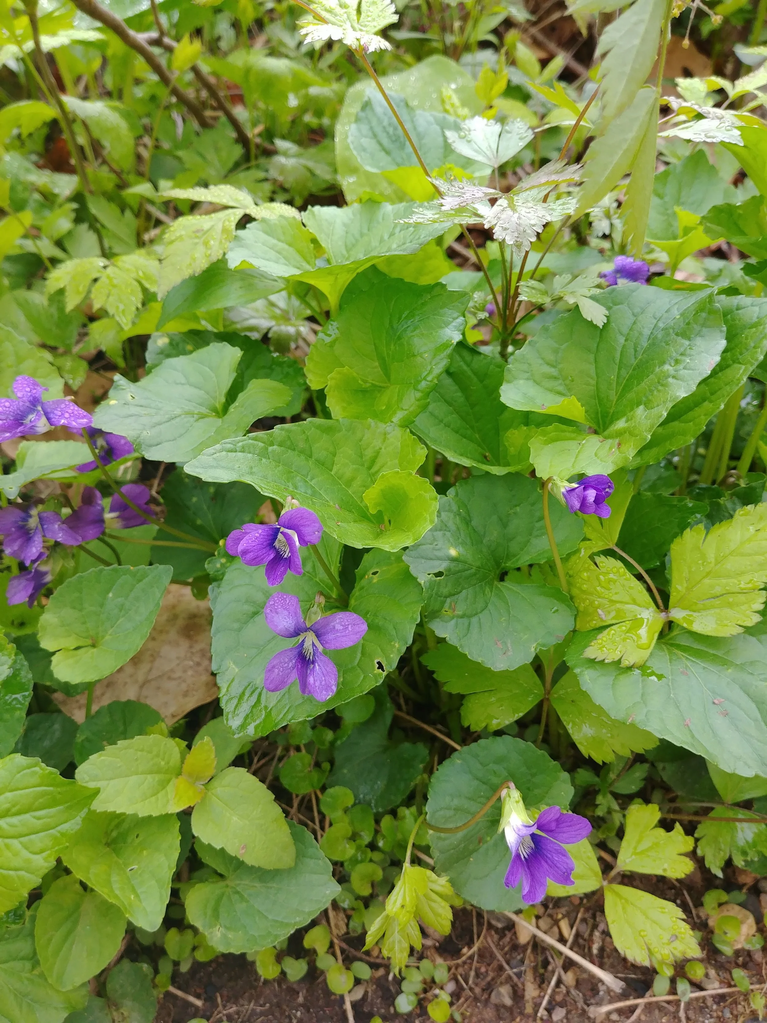20190502_092423.jpg