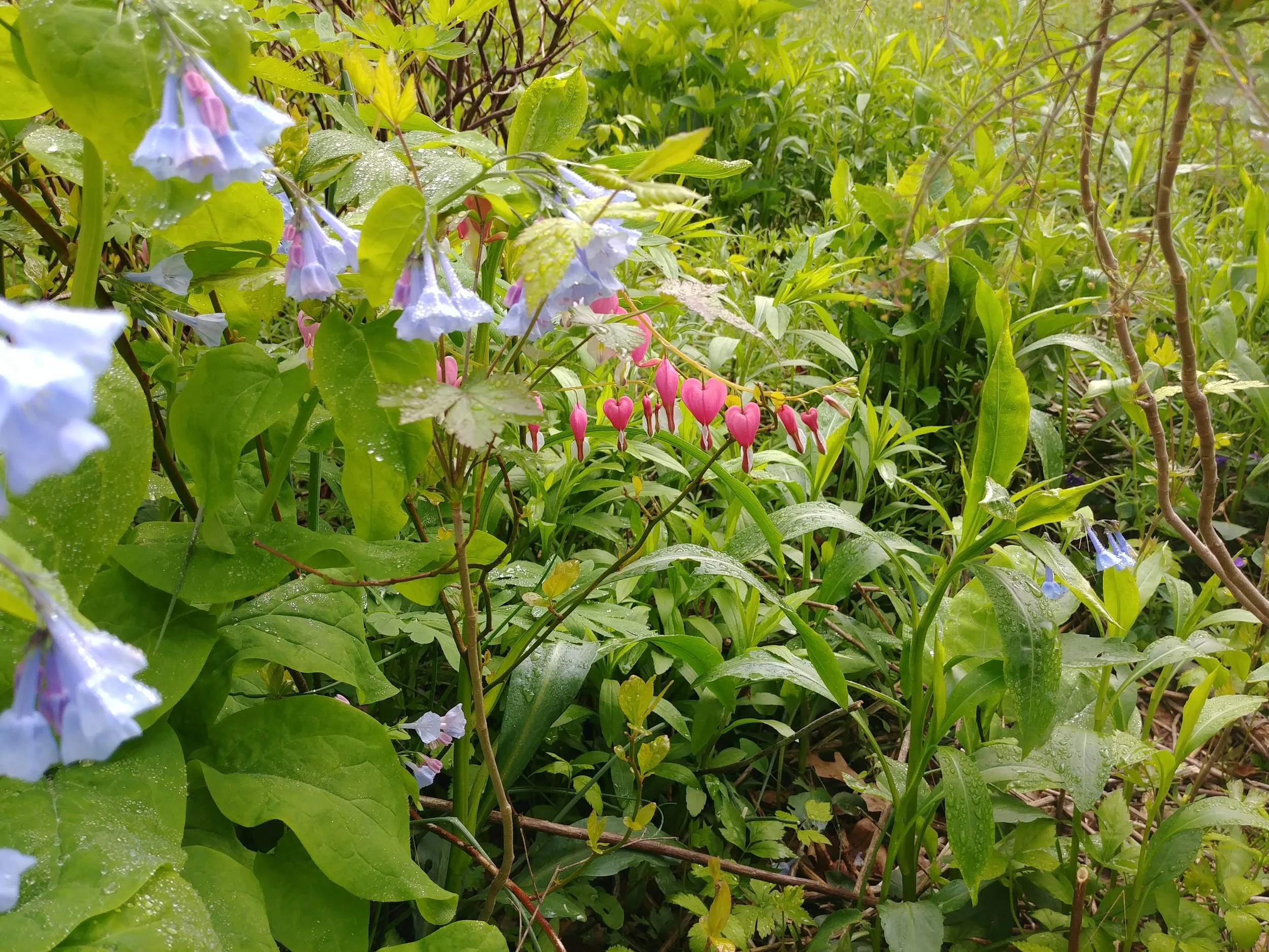 20190502_092410.jpg
