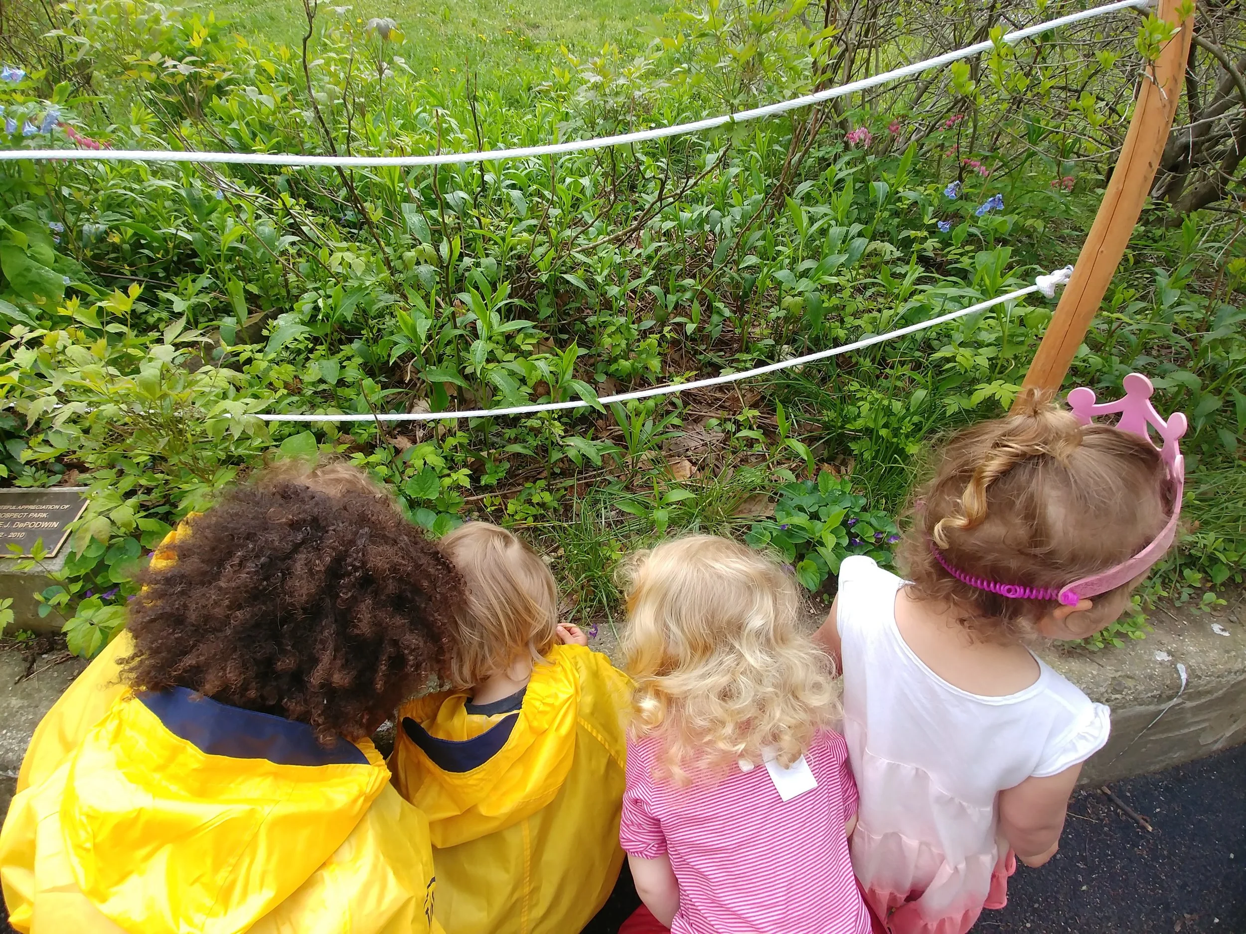 20190502_092245.jpg