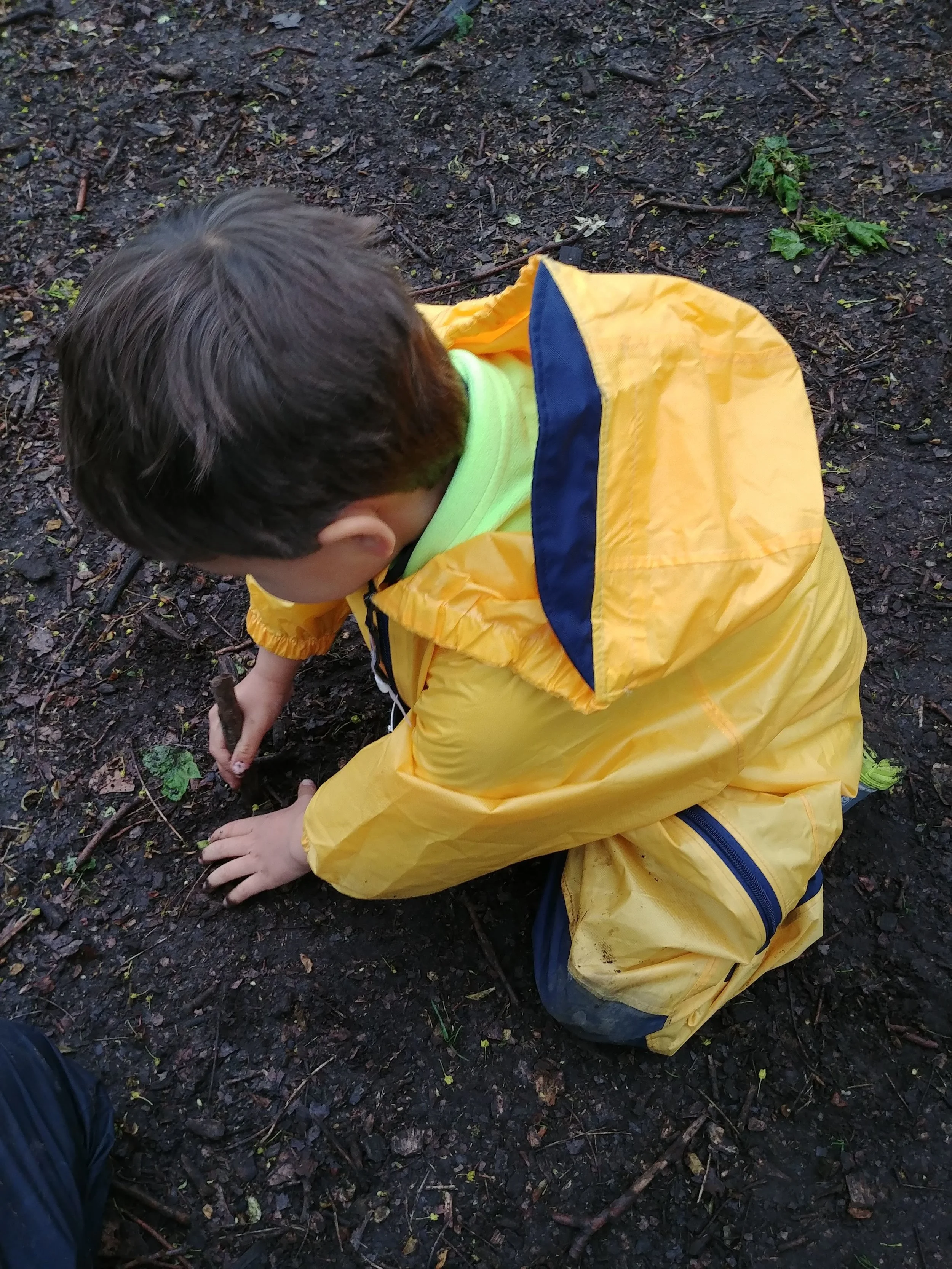 20190430_095926_HDR.jpg