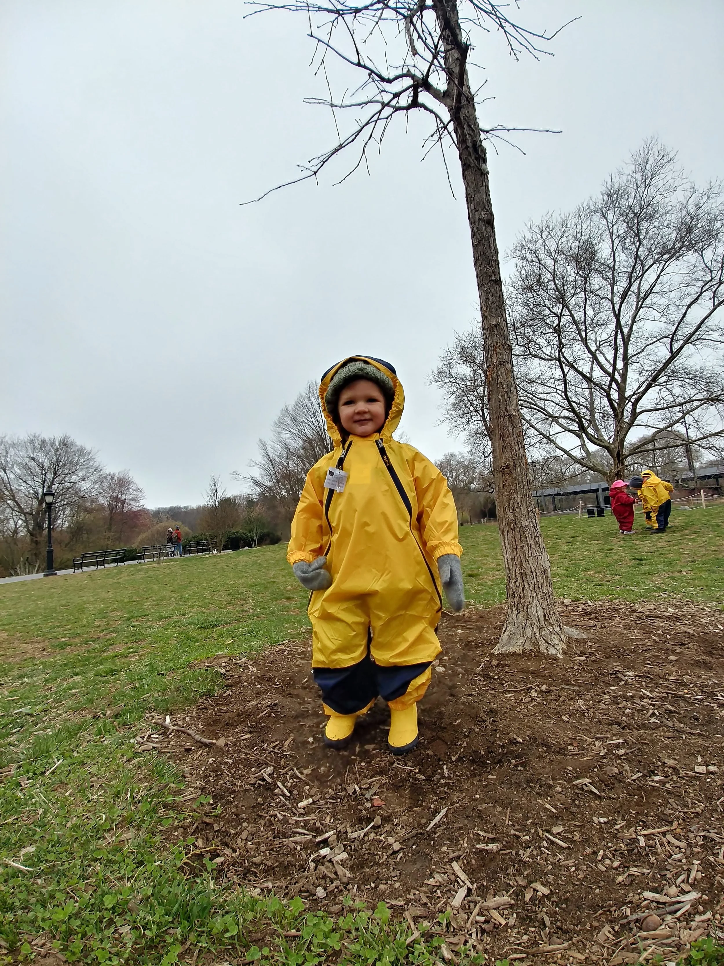 20190409_113612_HDR.jpg