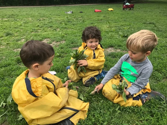 image5 (2).jpeg