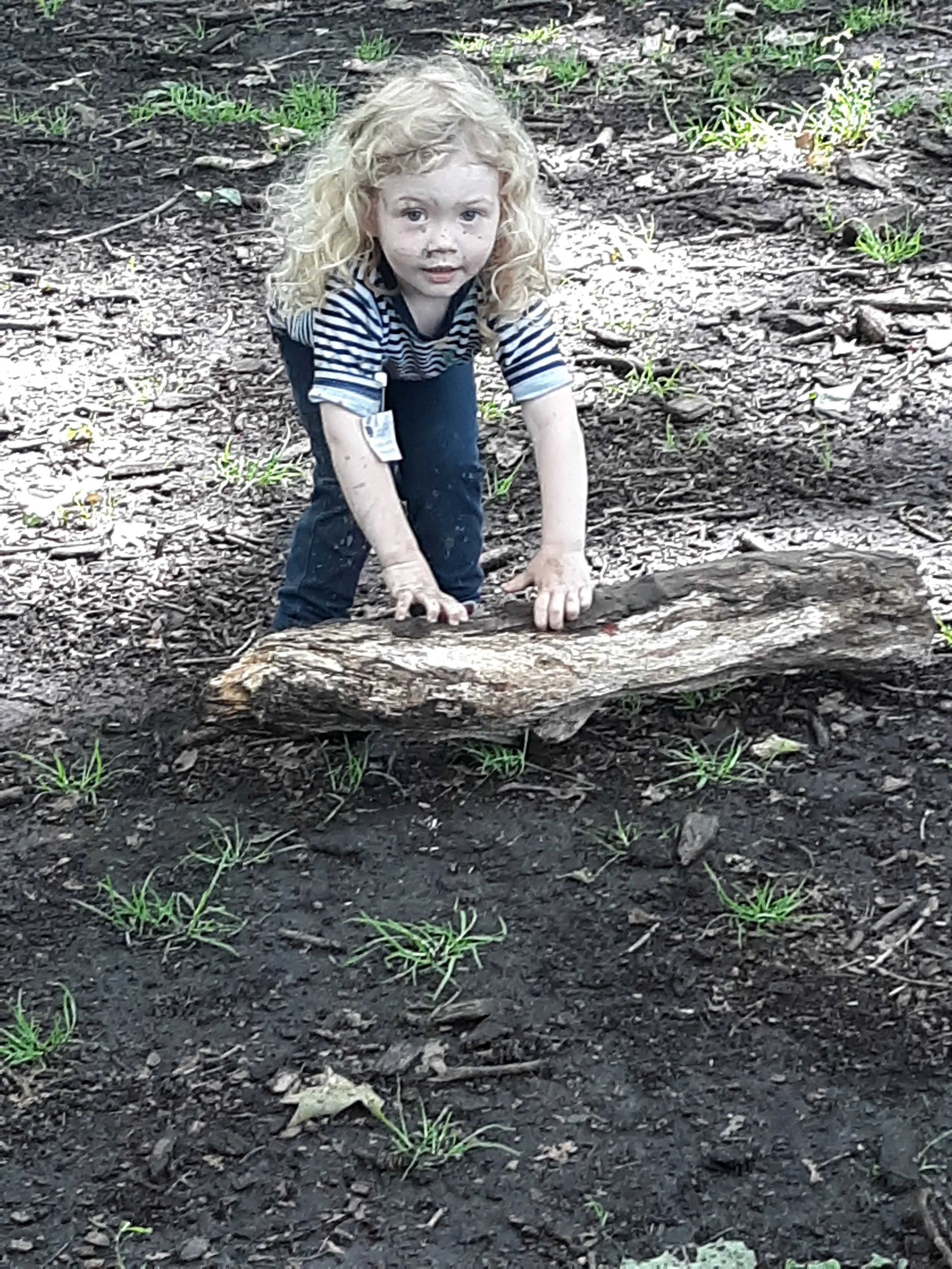 20190606_101235.jpg