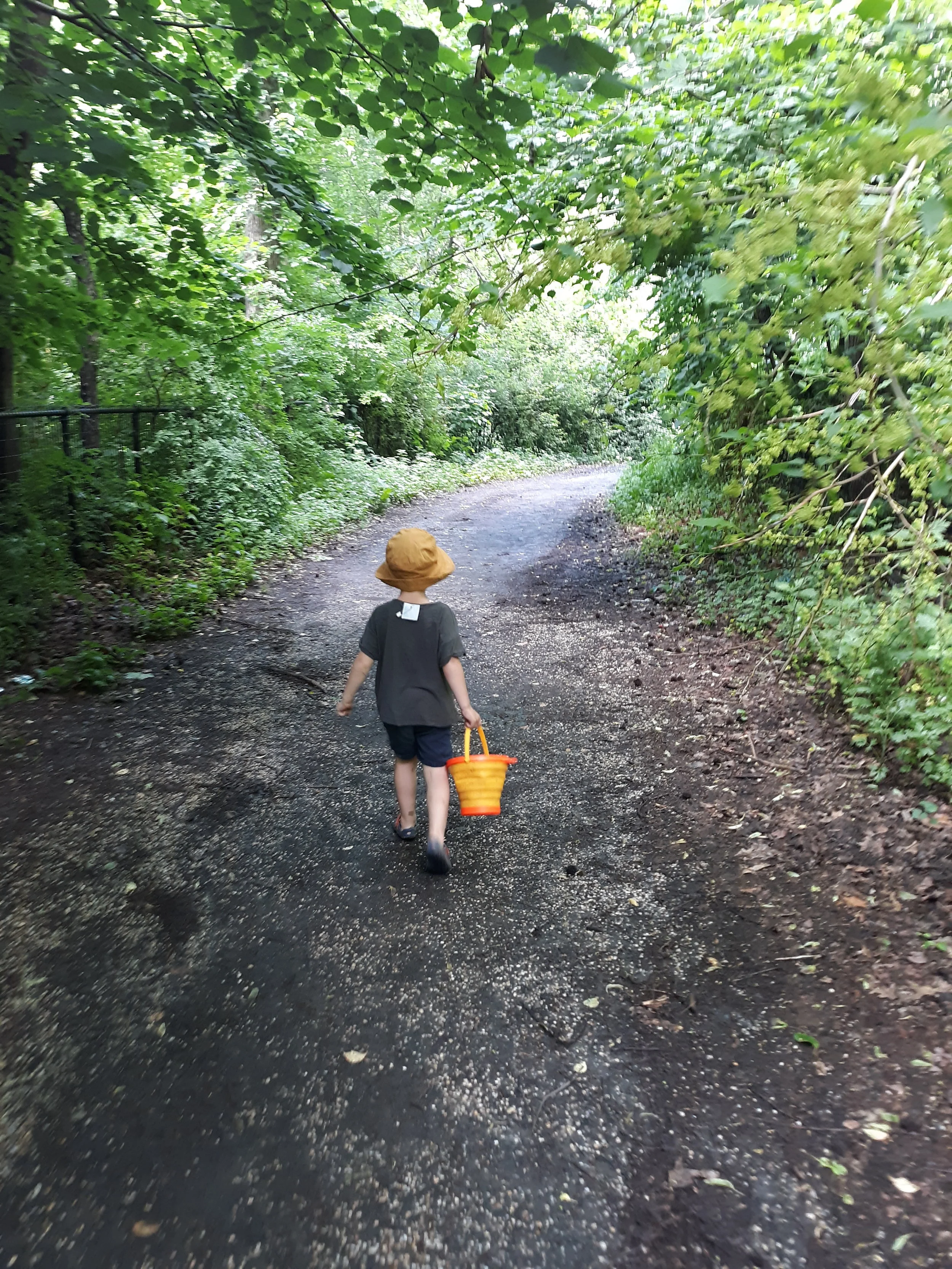 20190606_102835.jpg