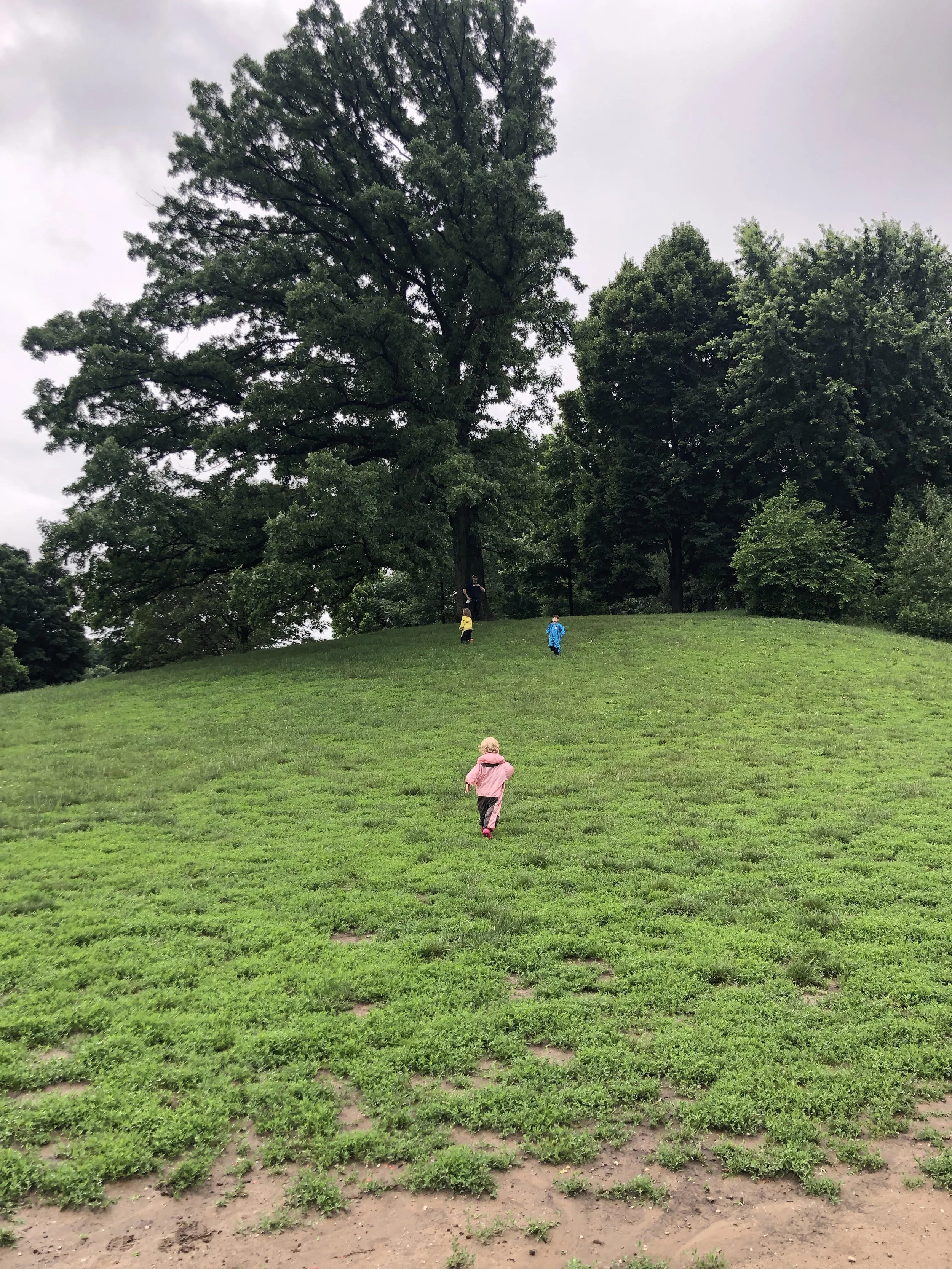 unnamed (48).jpg