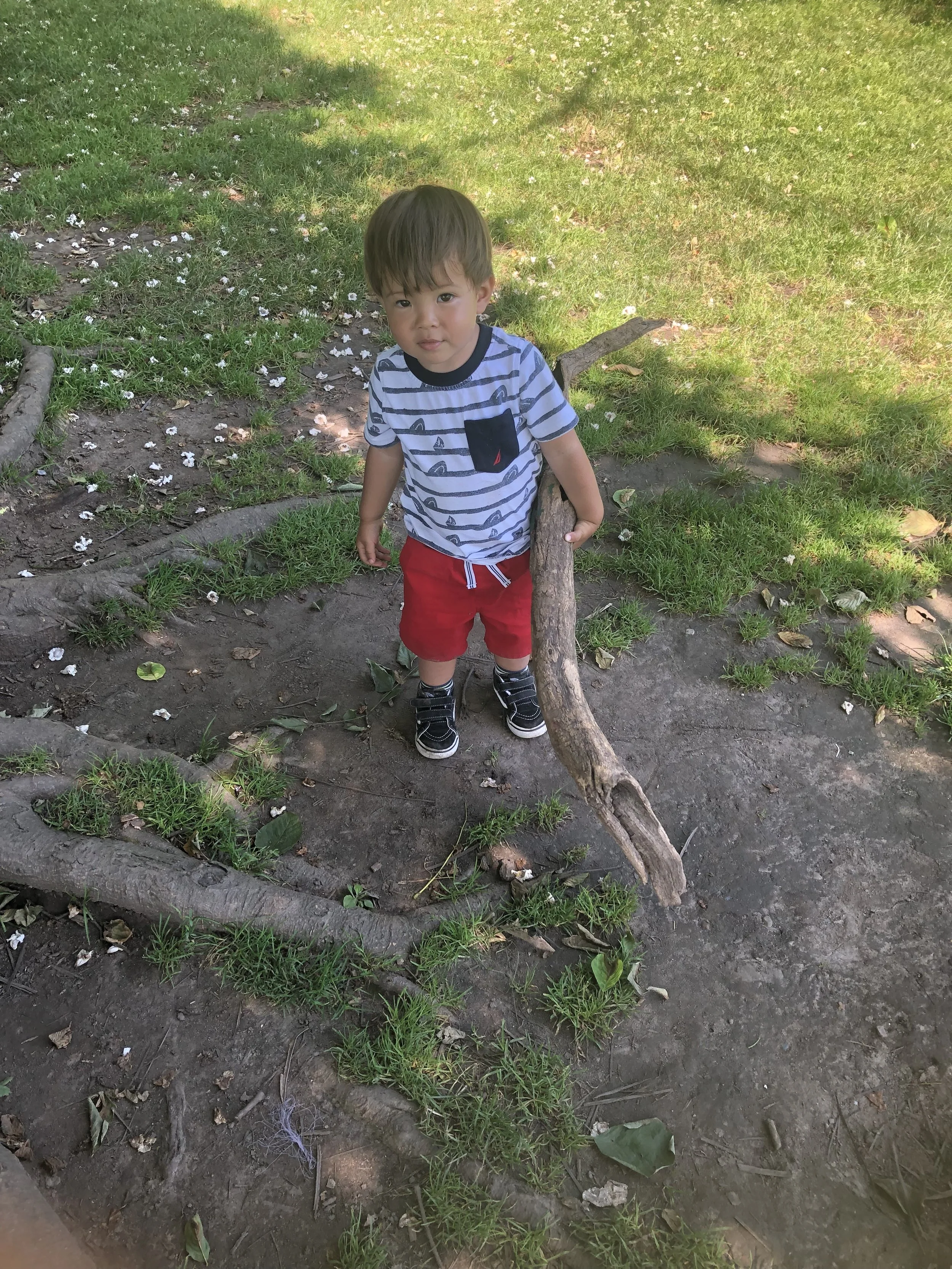 image5 (2).jpeg