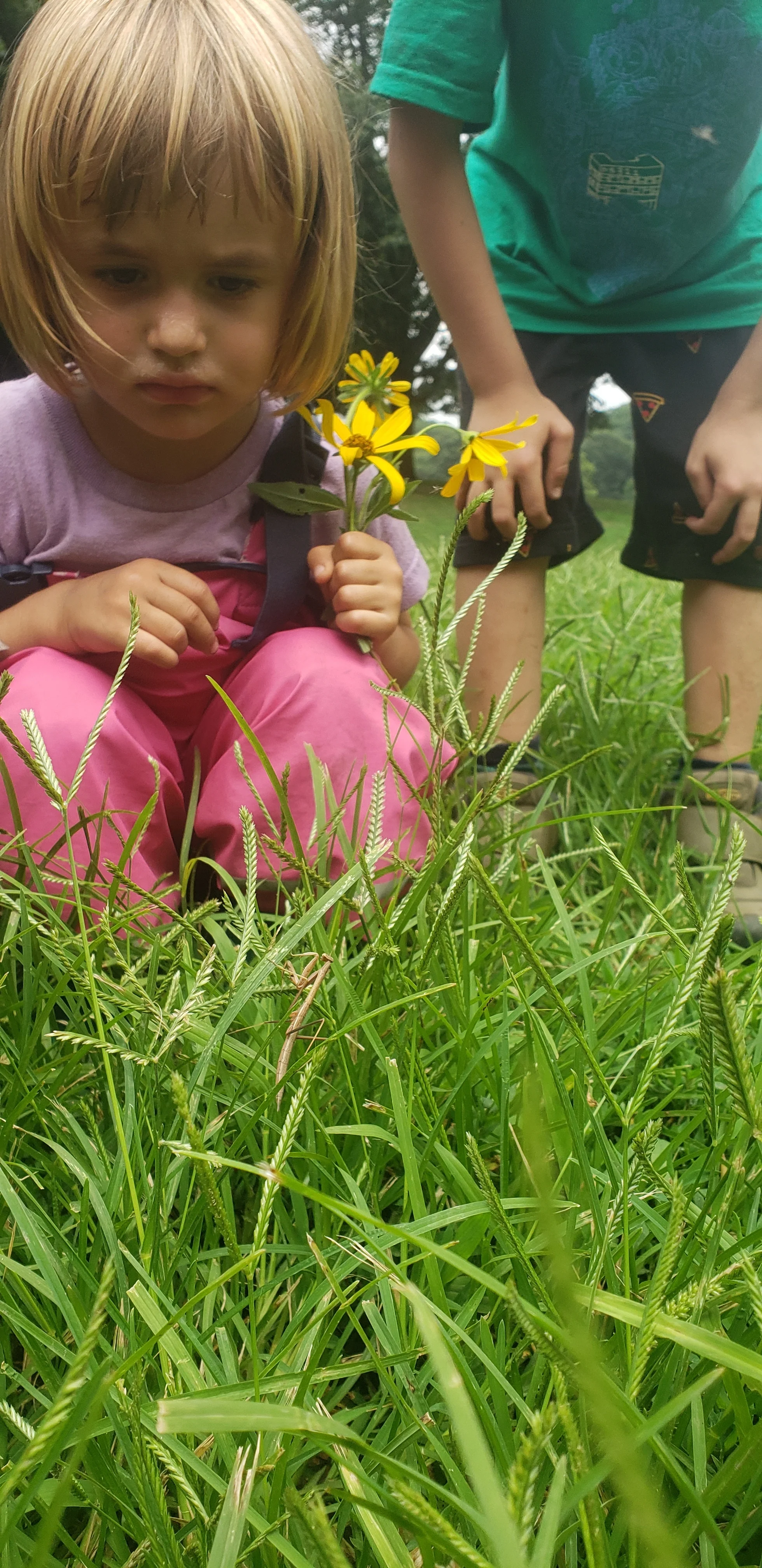 20190718_141033.jpg
