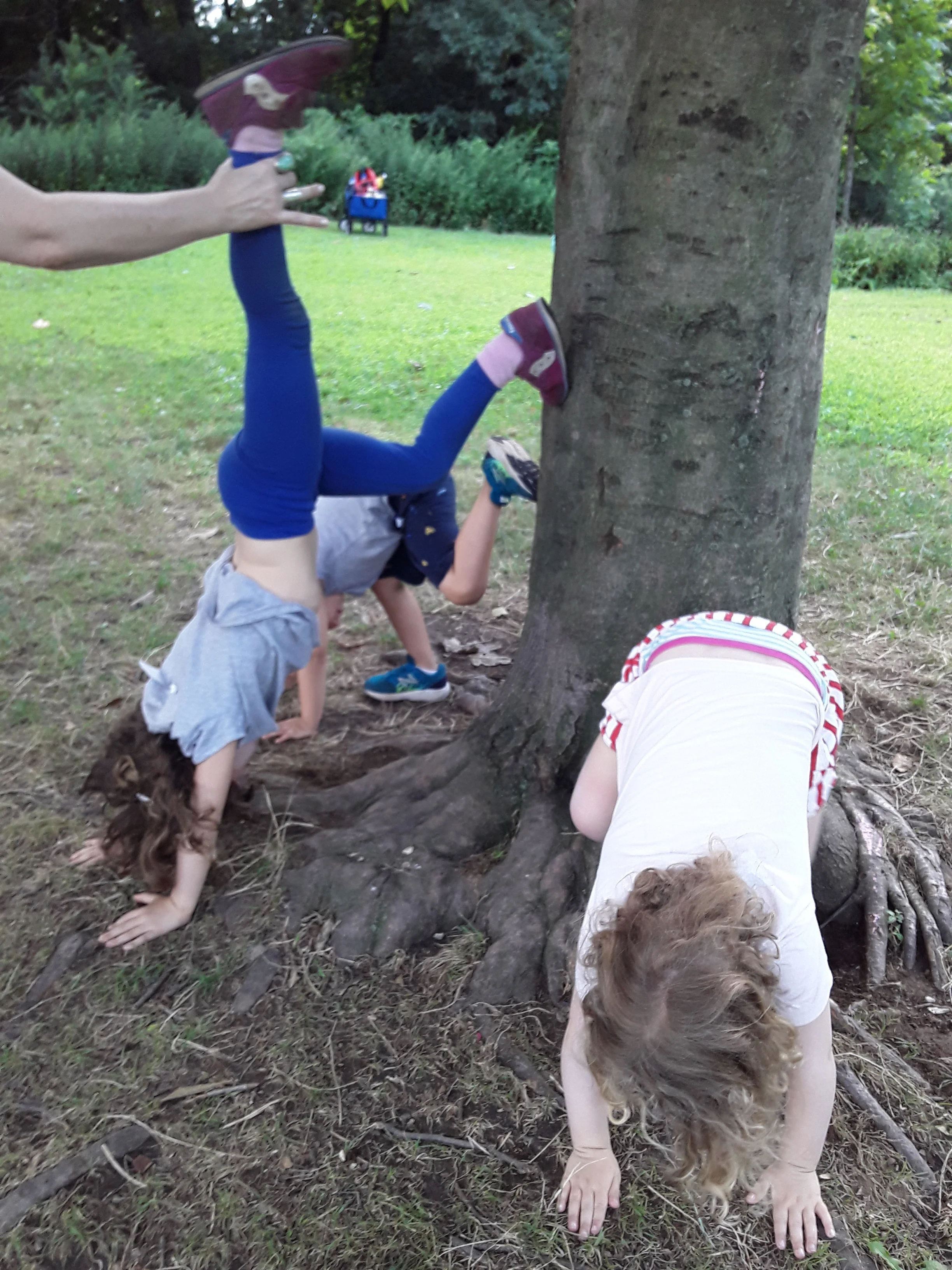 20190724_112621.jpg