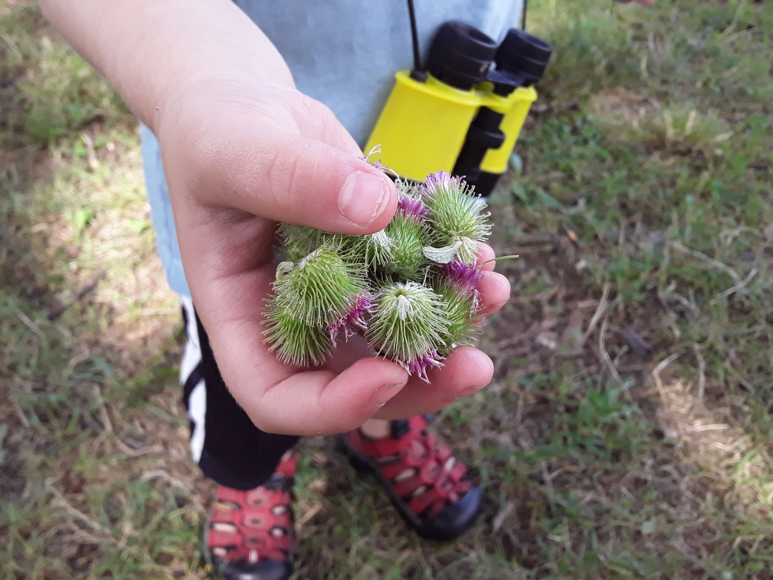 20190724_102914.jpg