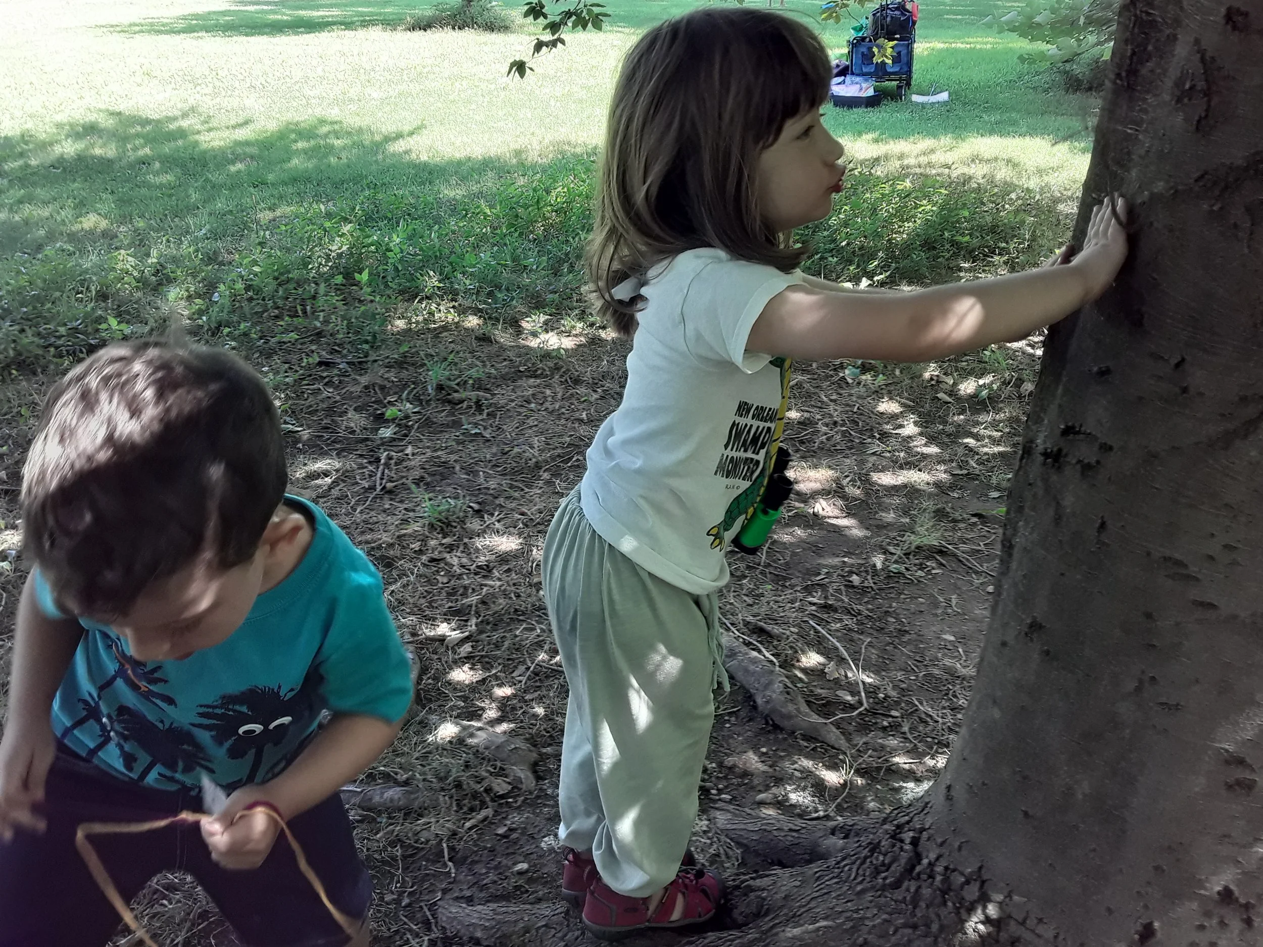 20190725_111227.jpg