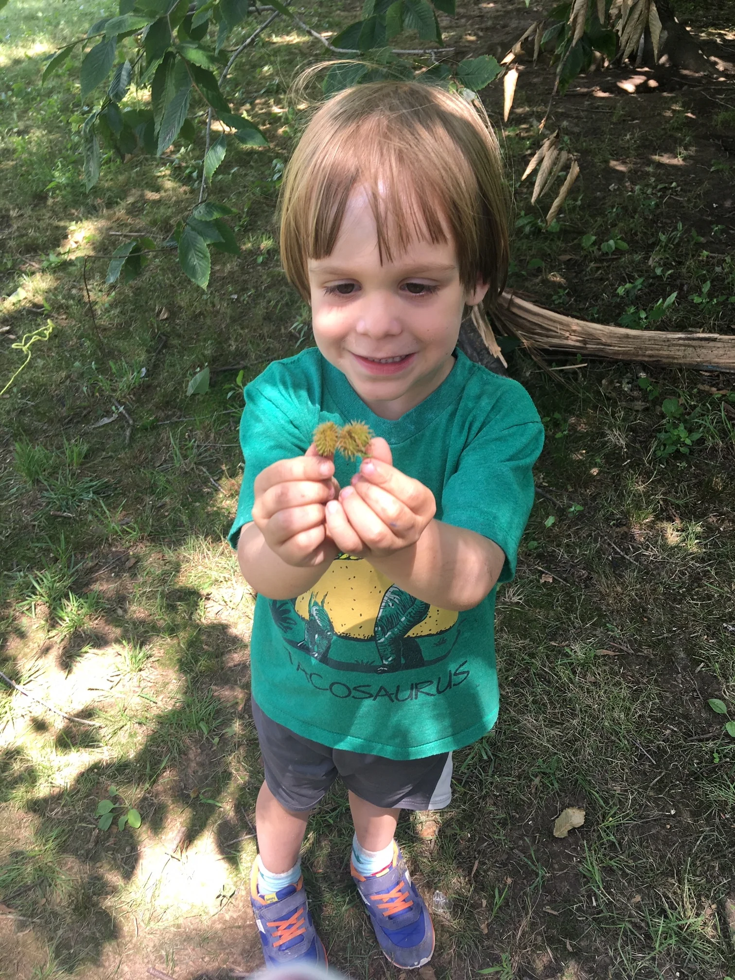image2 (4).jpeg