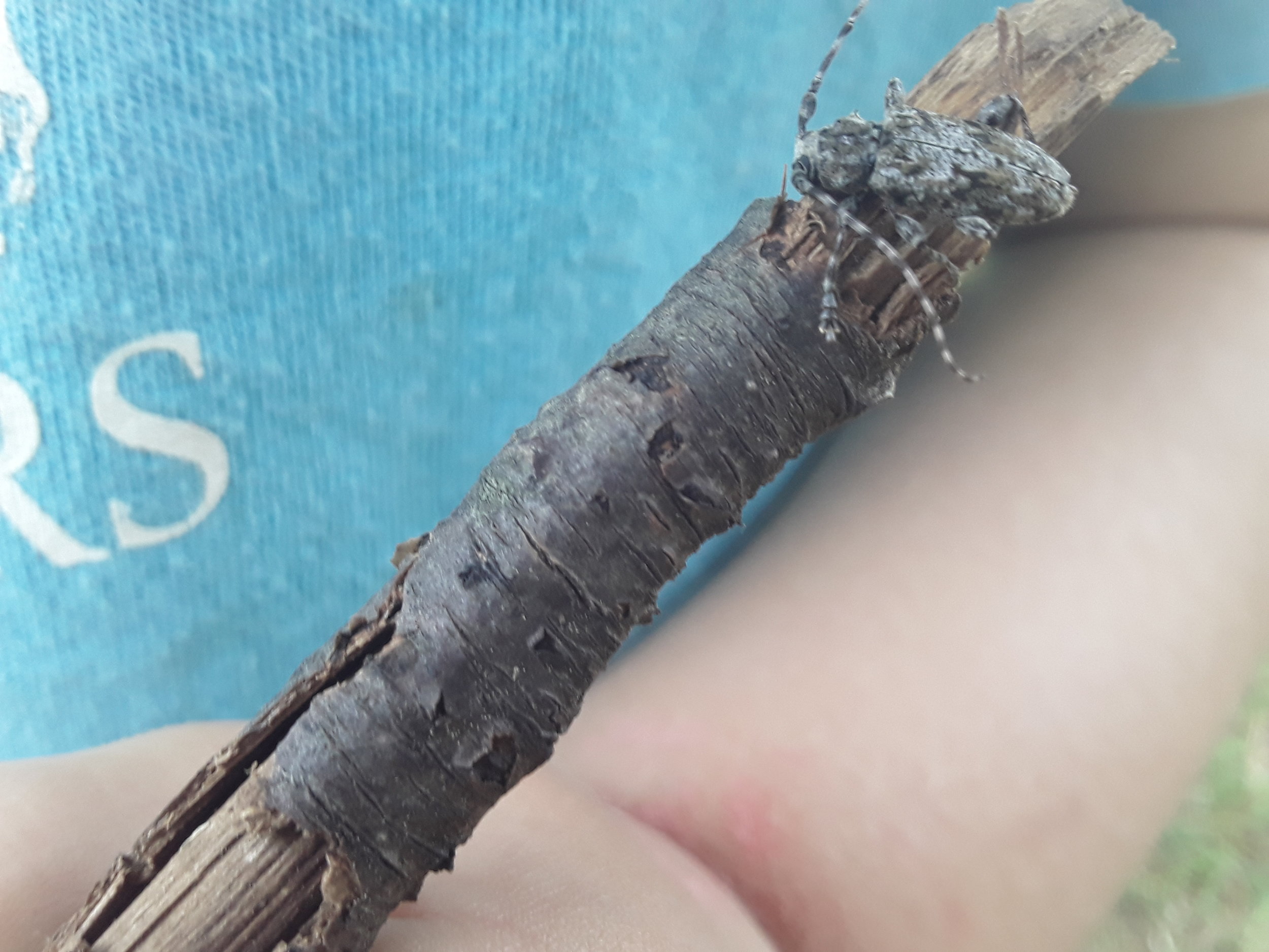 20190808_122737.jpg
