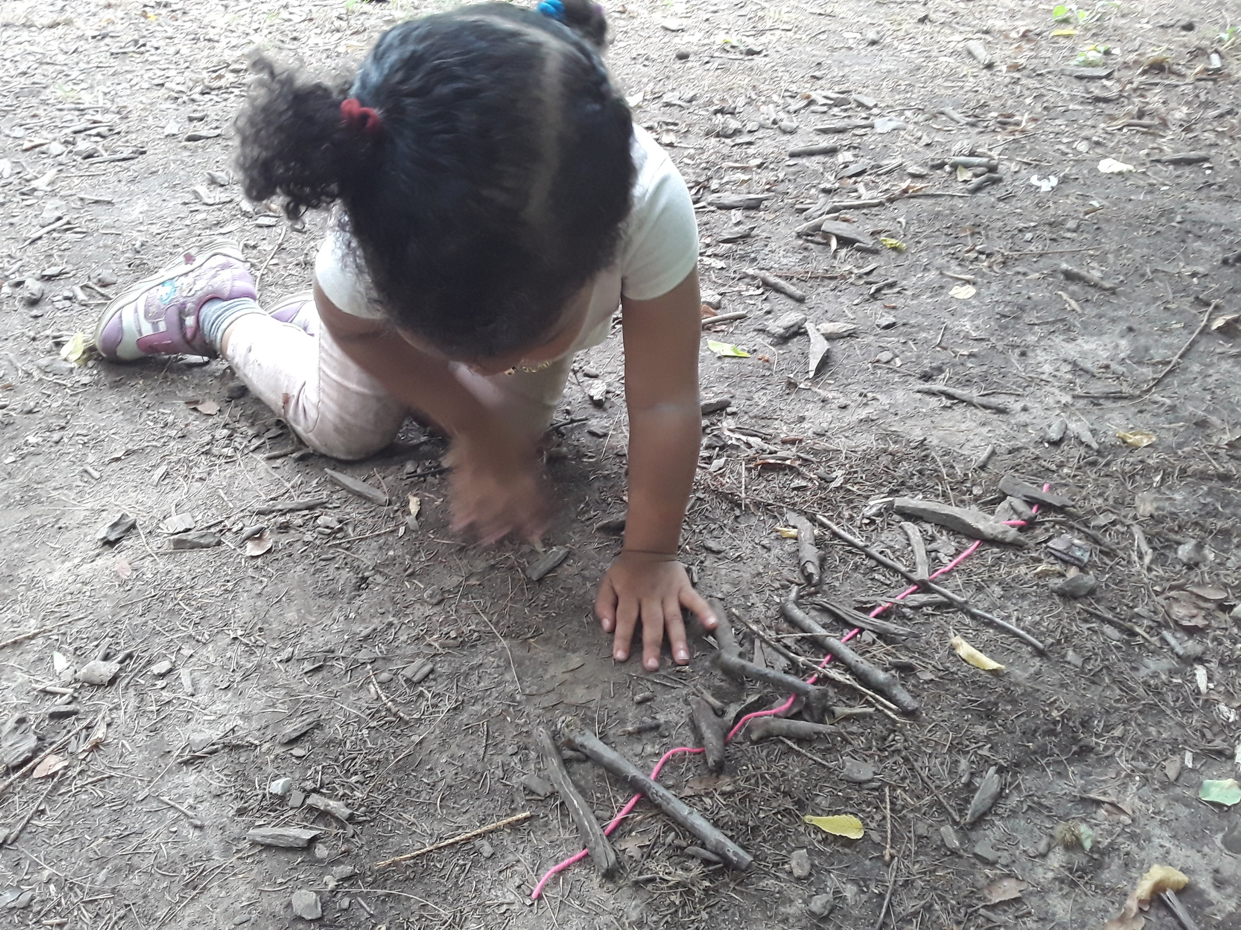 20190809_155445.jpg