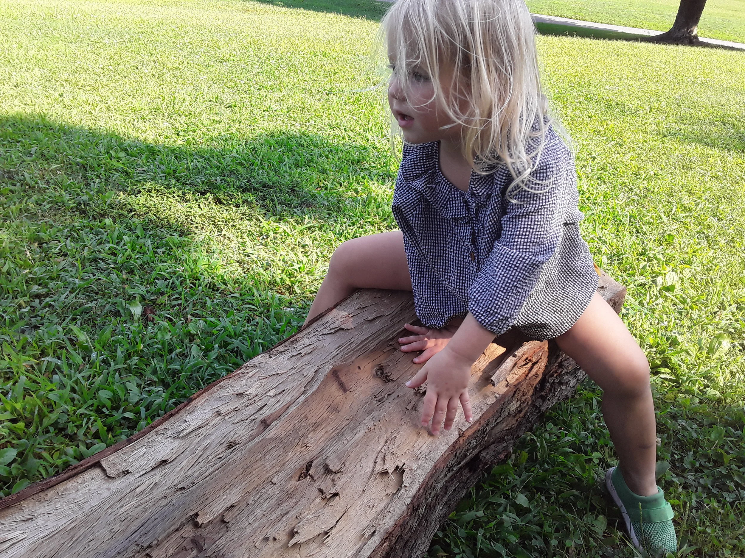 20190815_100048.jpg