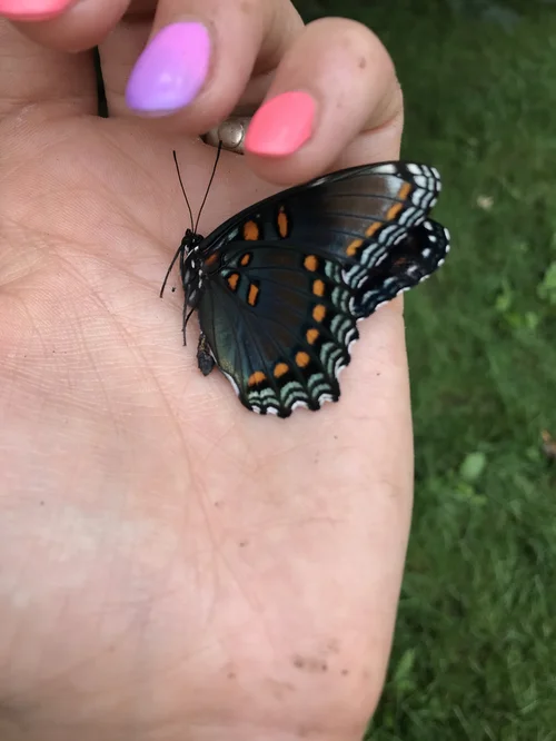 Calendar Brooklyn Nature Days