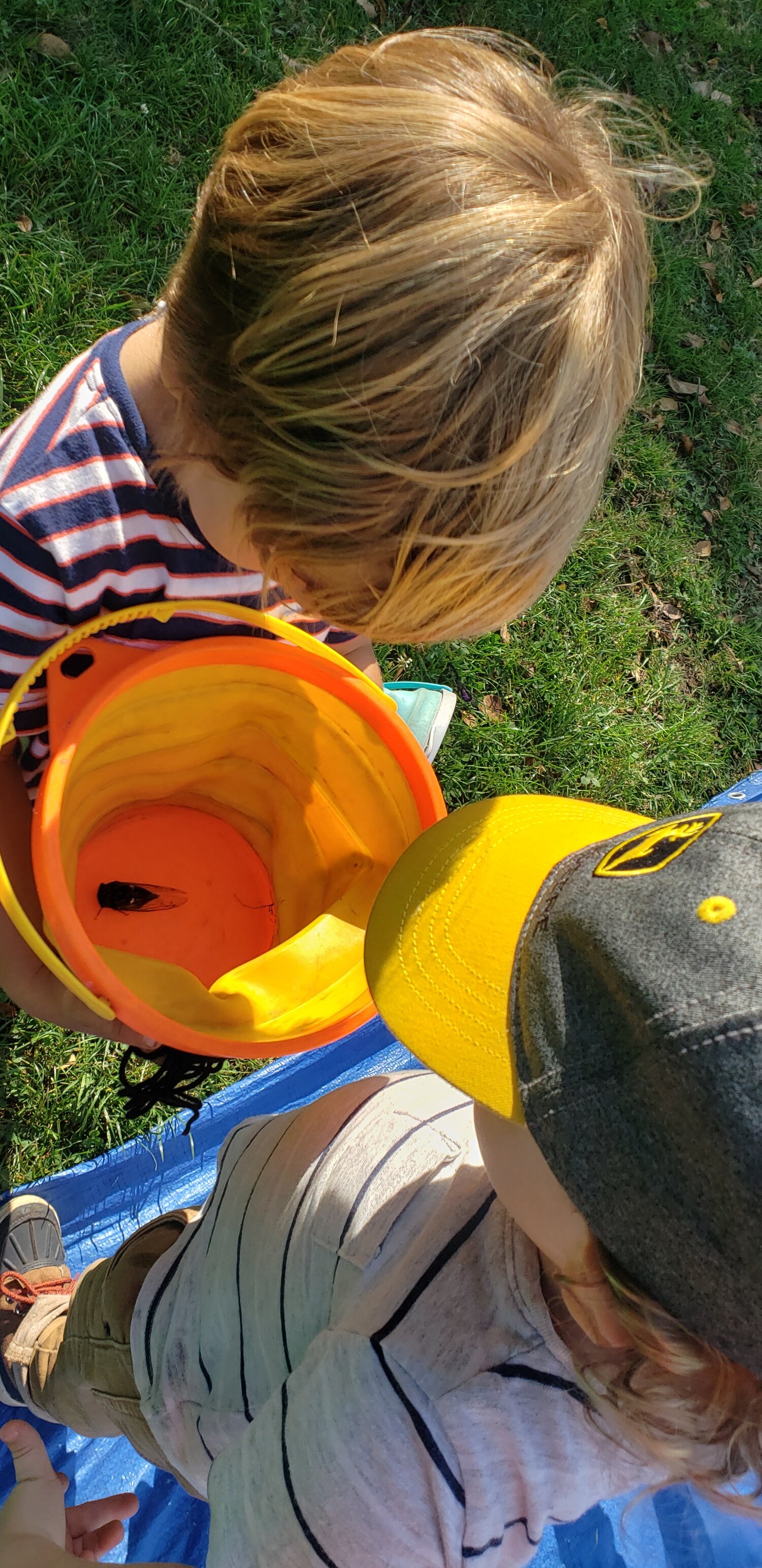 20190912_101134.jpg