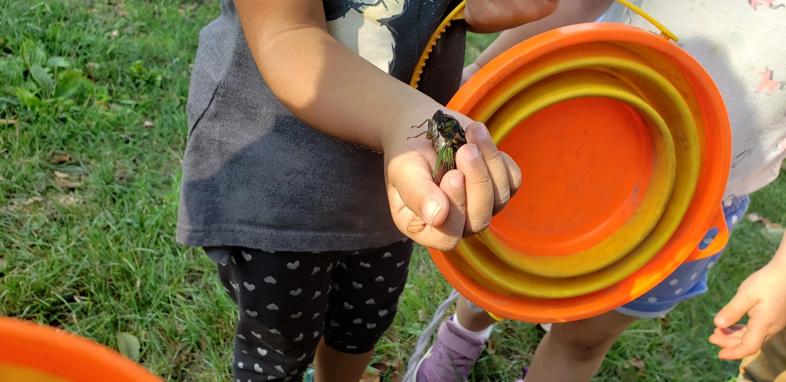 20190912_100906.jpg