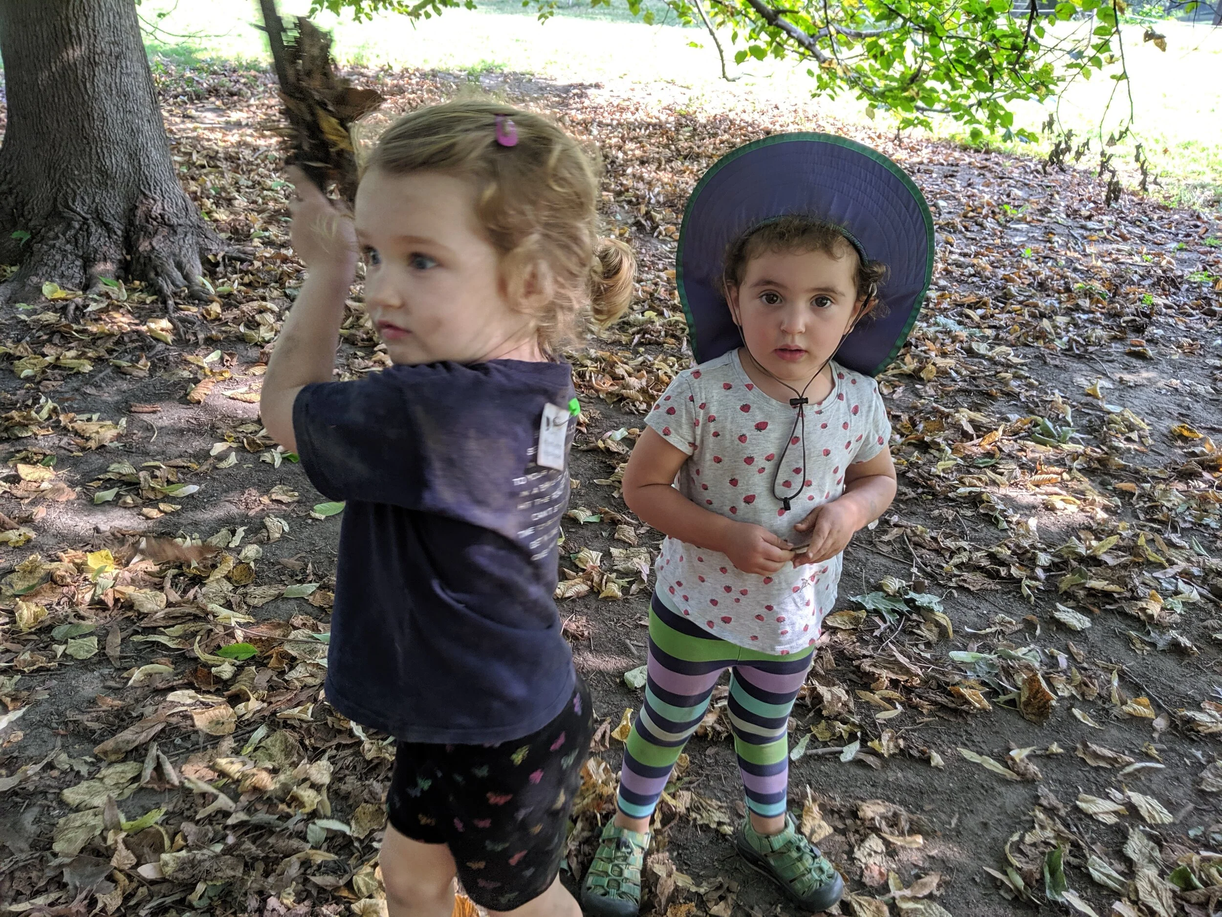 IMG_20190923_094759.jpg
