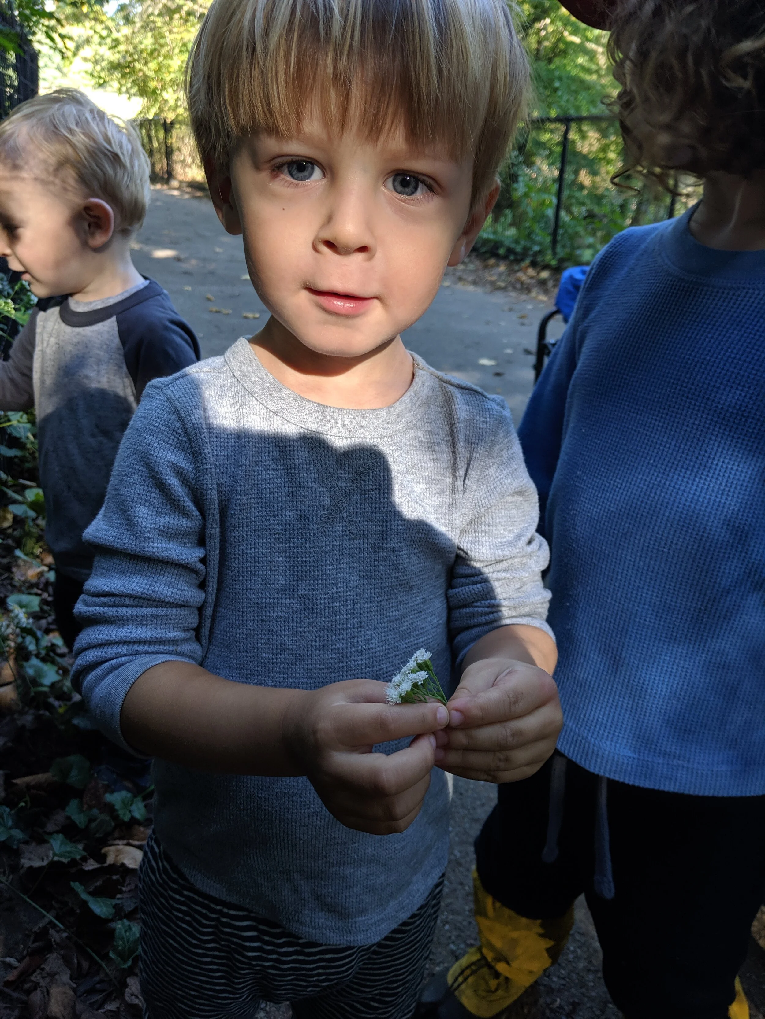 IMG_20190926_092426.jpg
