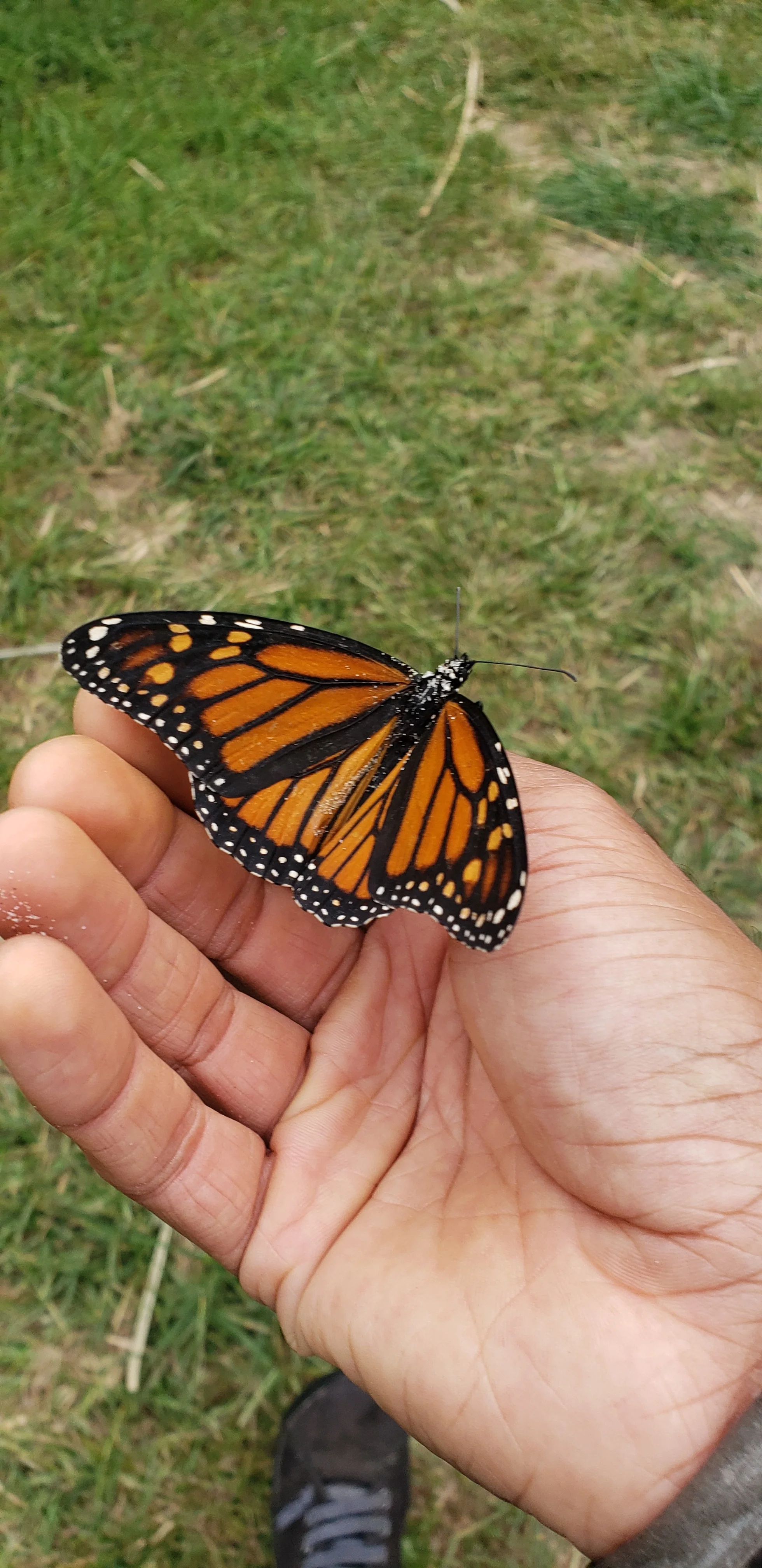 20191006_144515.jpg