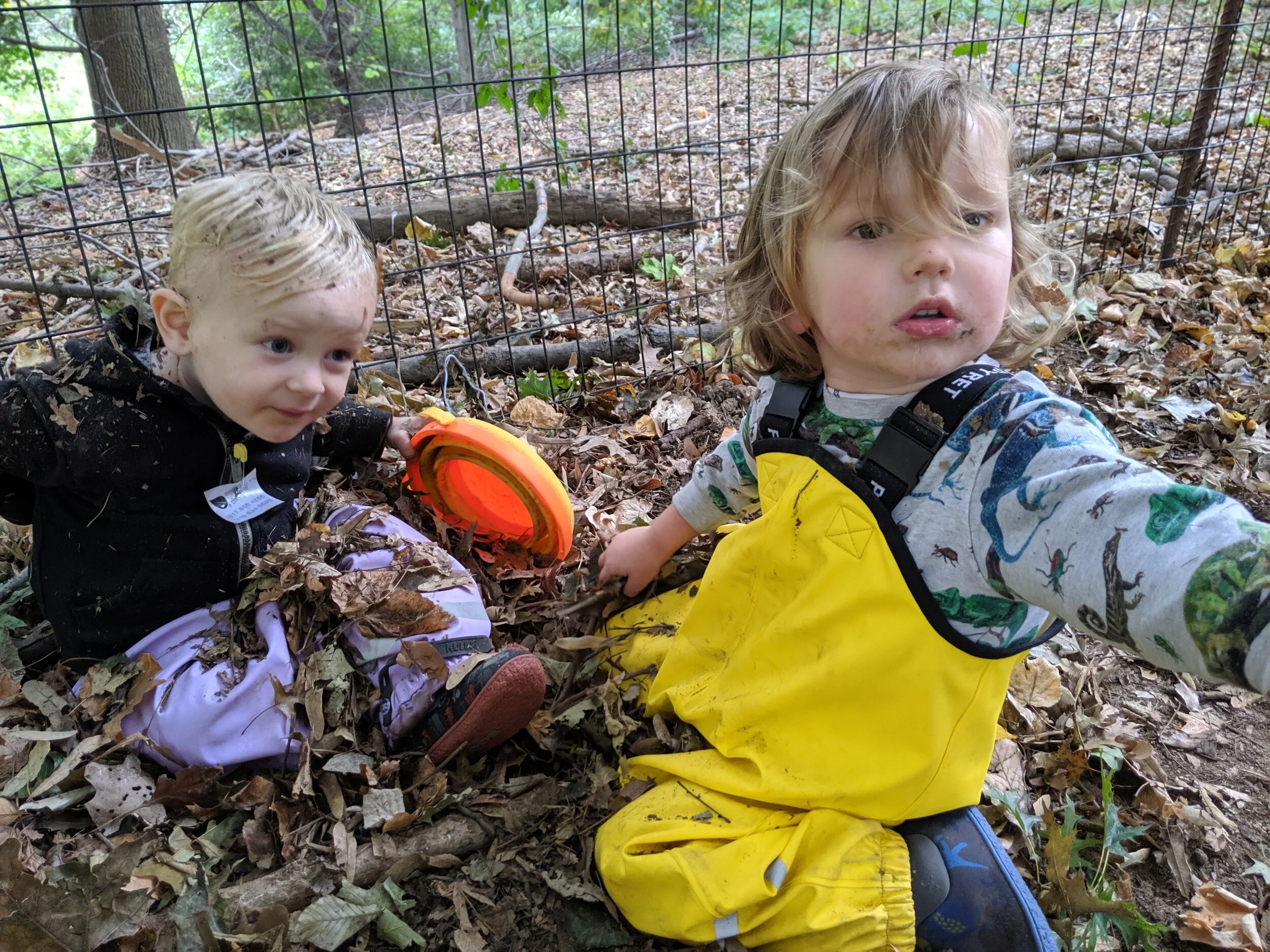 IMG_20191008_112703.jpg