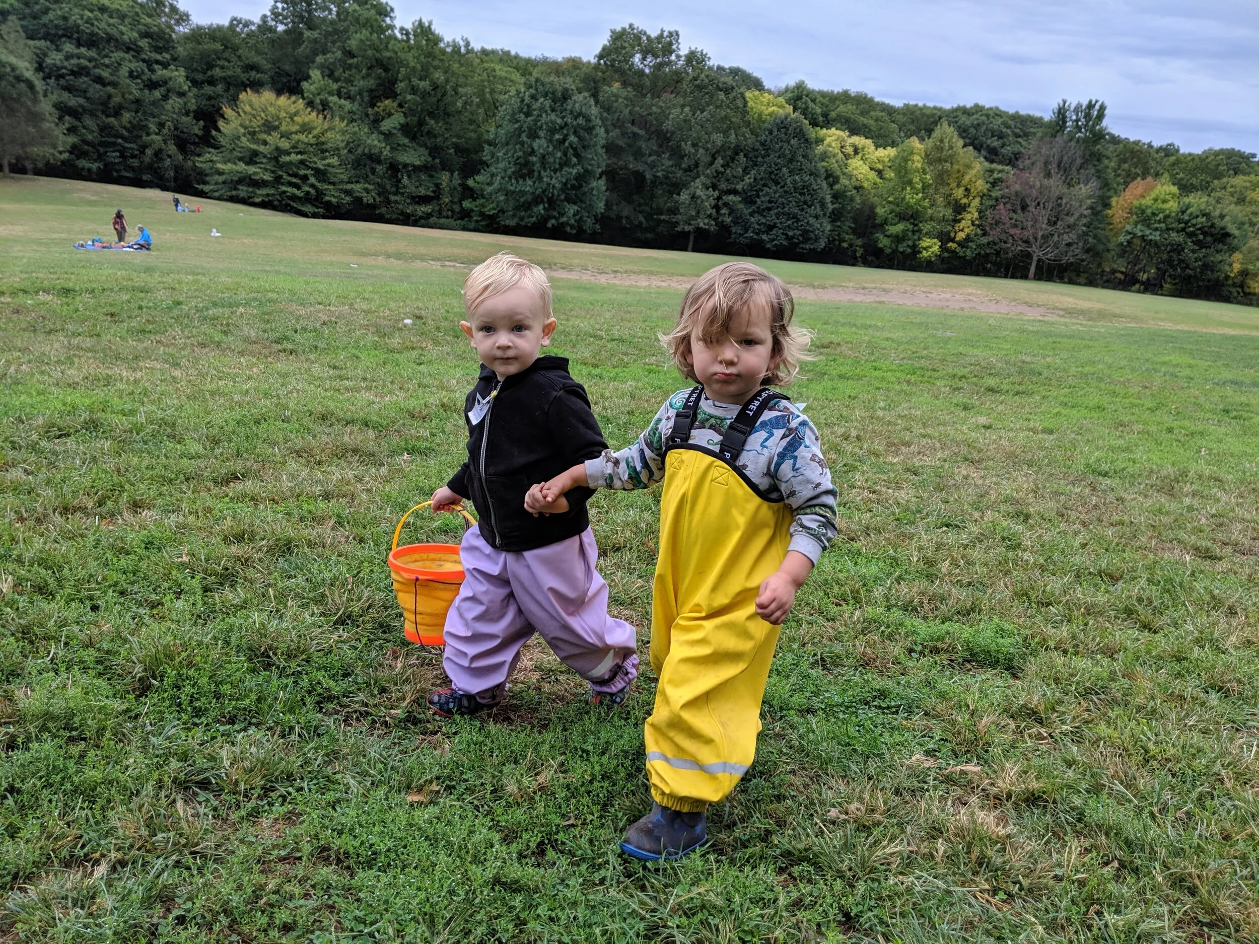 IMG_20191008_101835.jpg
