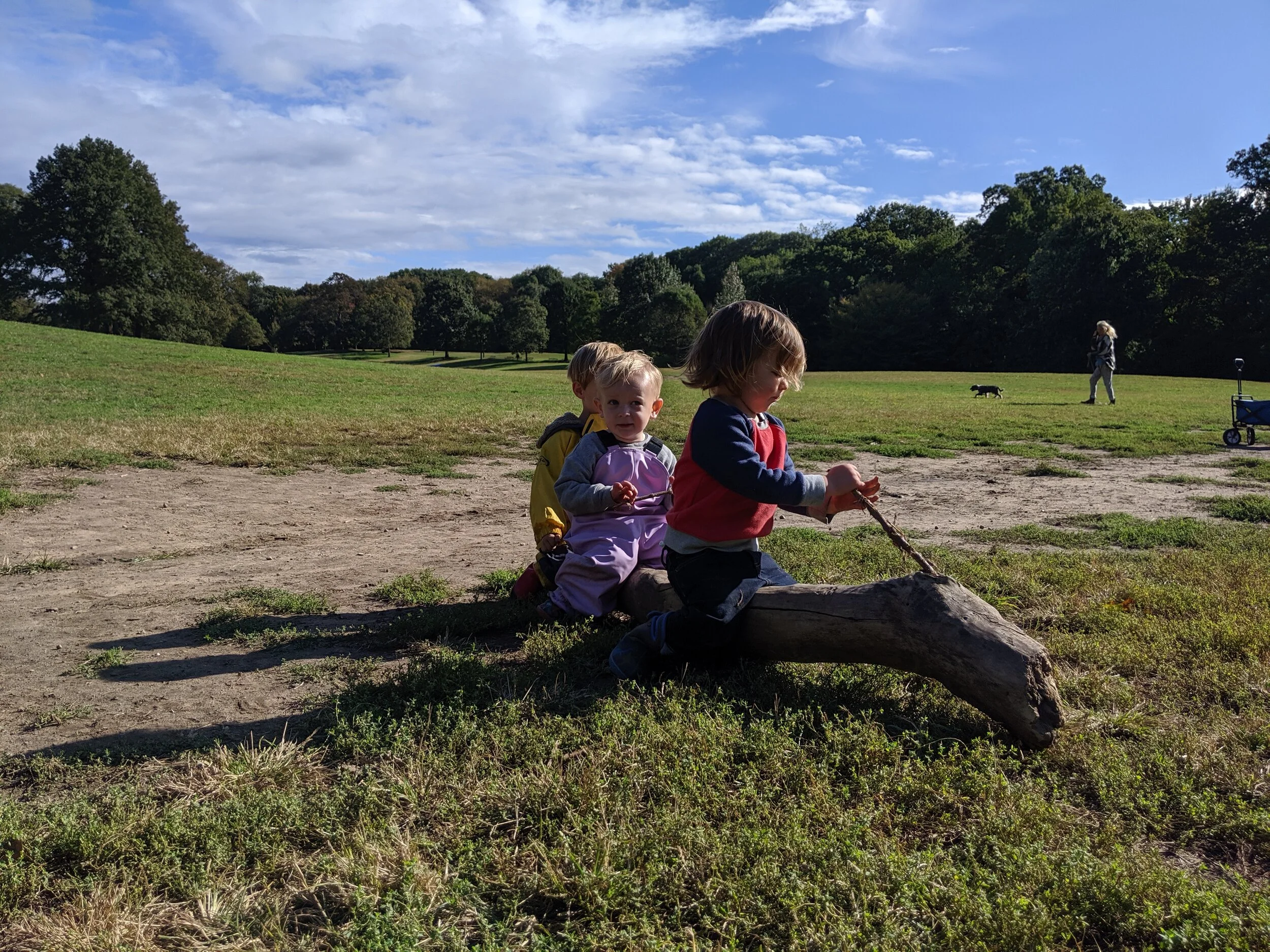 IMG_20191010_095748.jpg