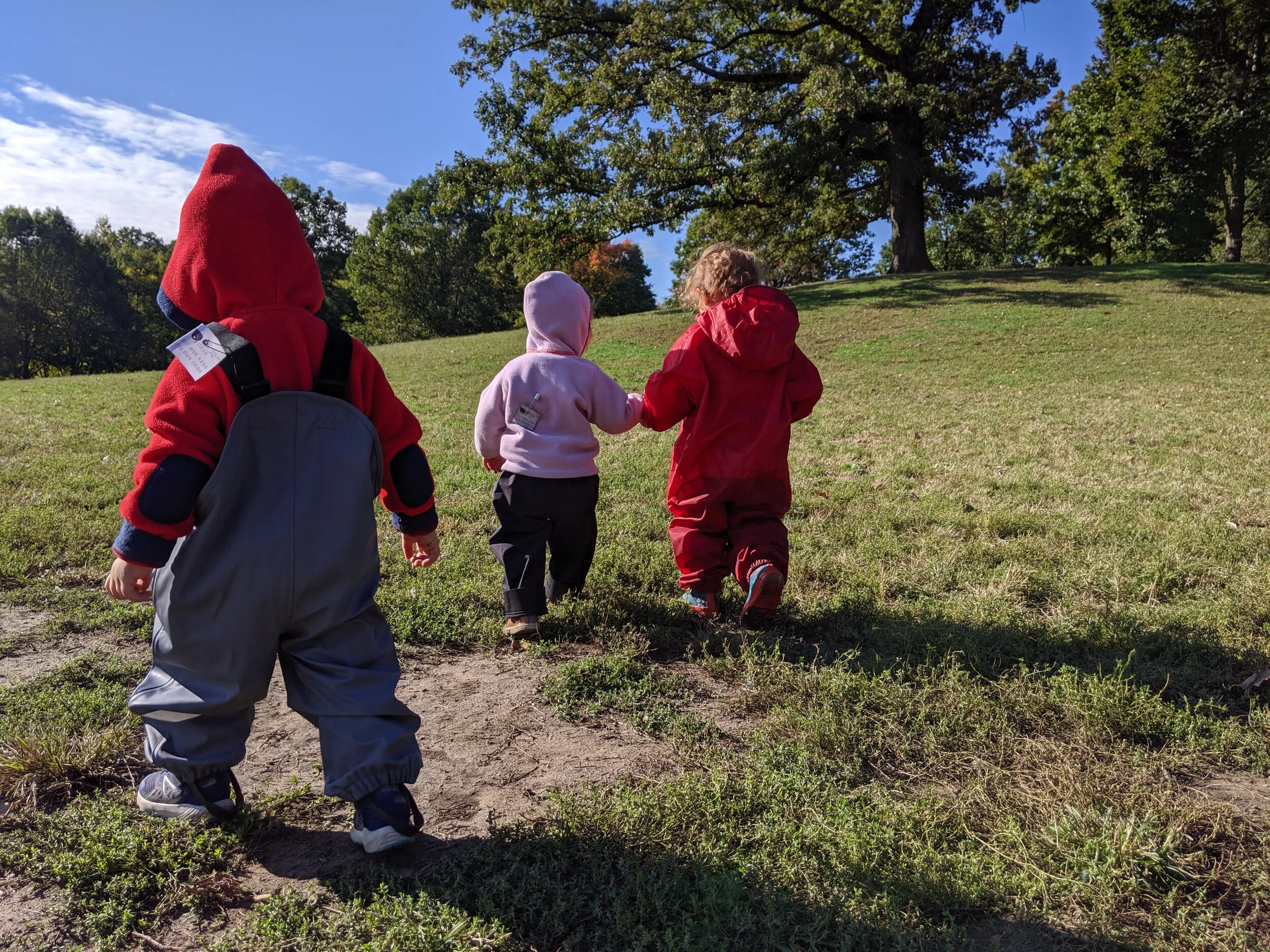 IMG_20191010_094613.jpg