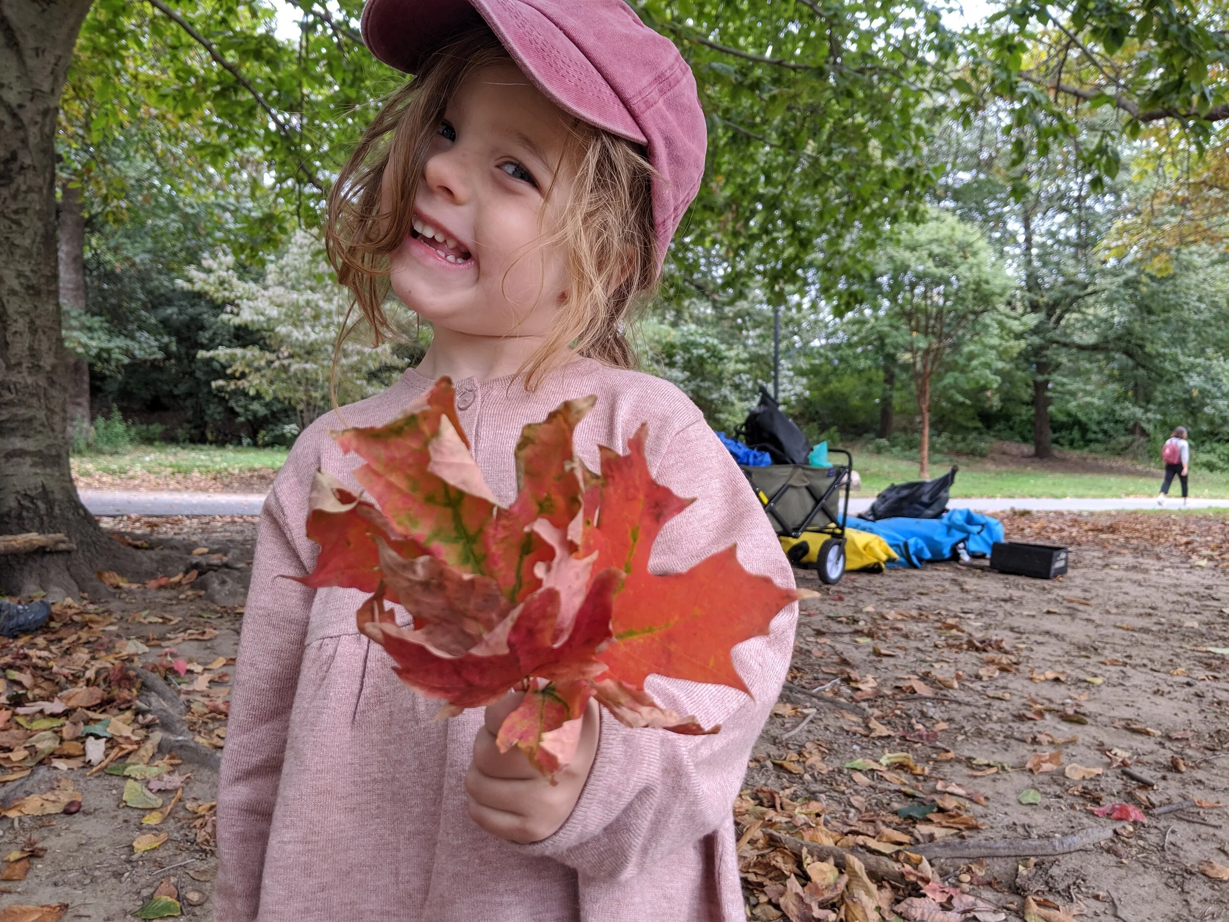 IMG_20191011_115137.jpg