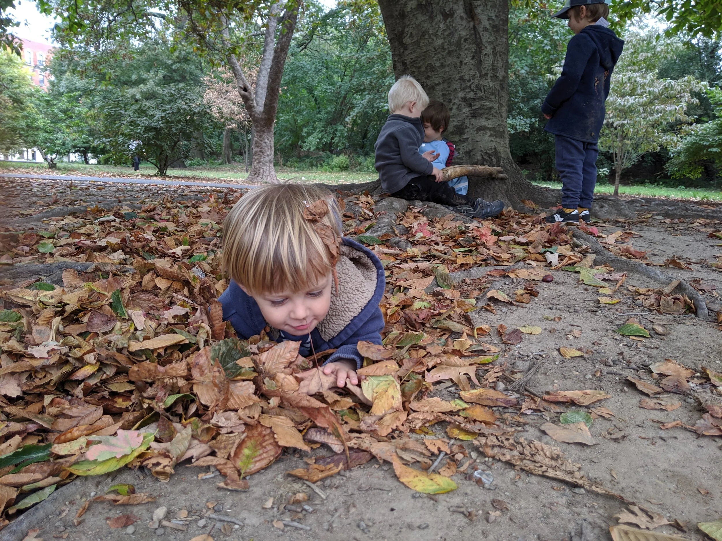IMG_20191011_115112.jpg