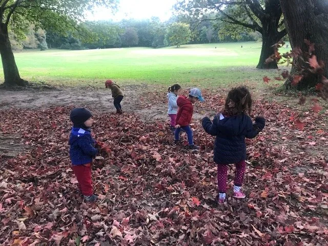 image5 (2).jpeg