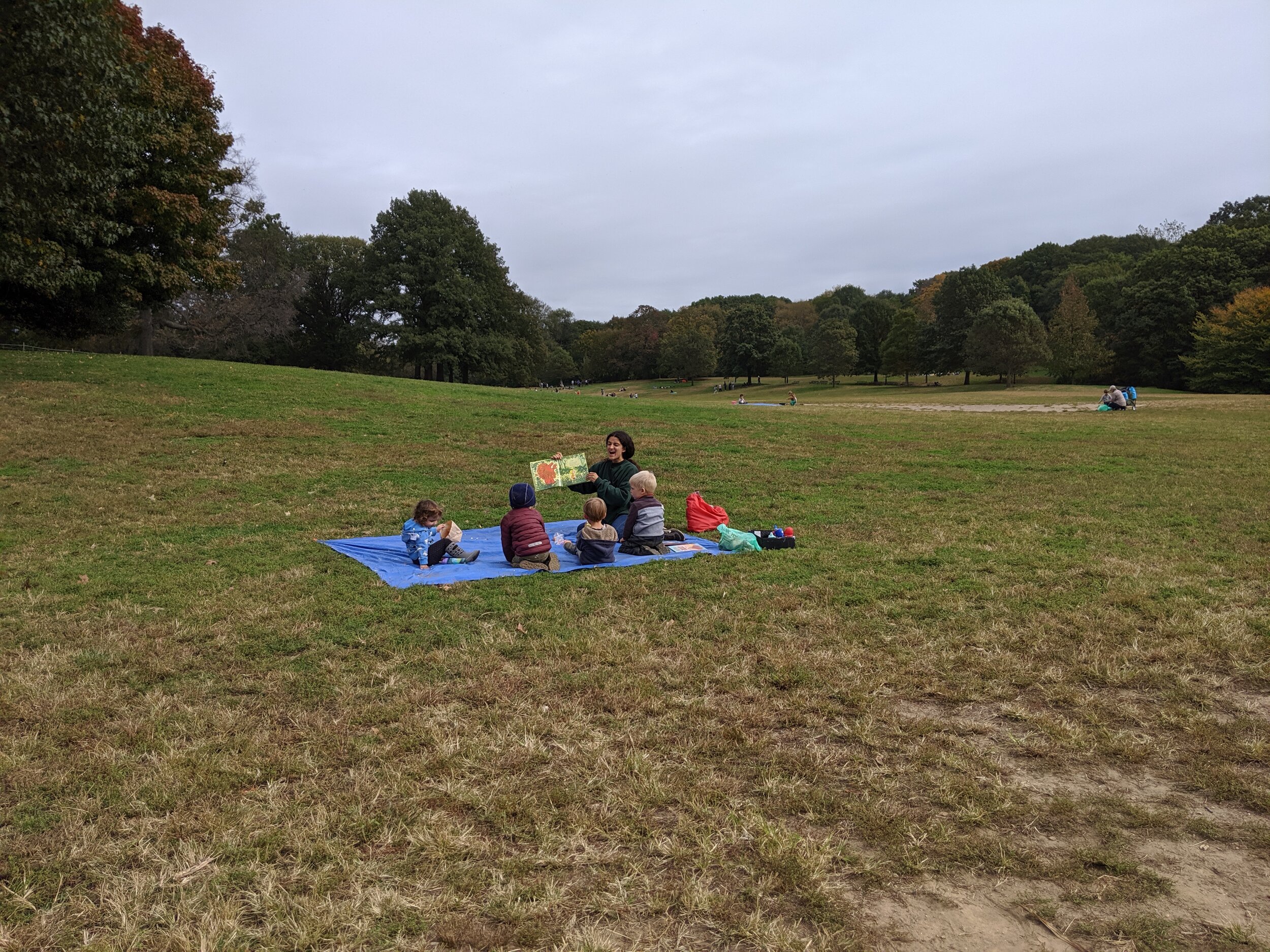 IMG_20191016_110902.jpg